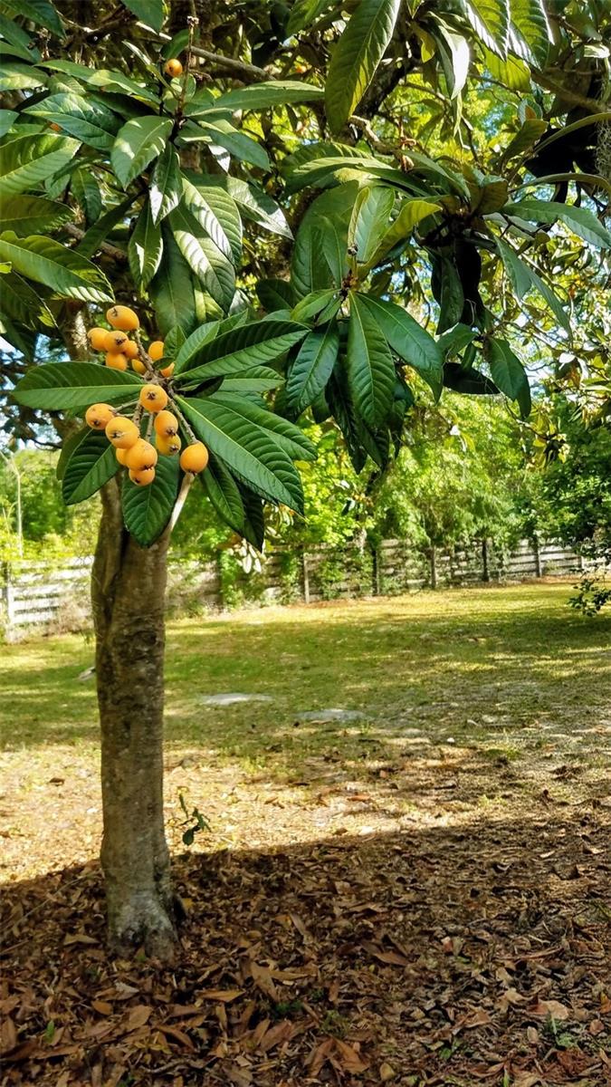 12182 SW STATE ROAD 45, ARCHER, FL, 32618