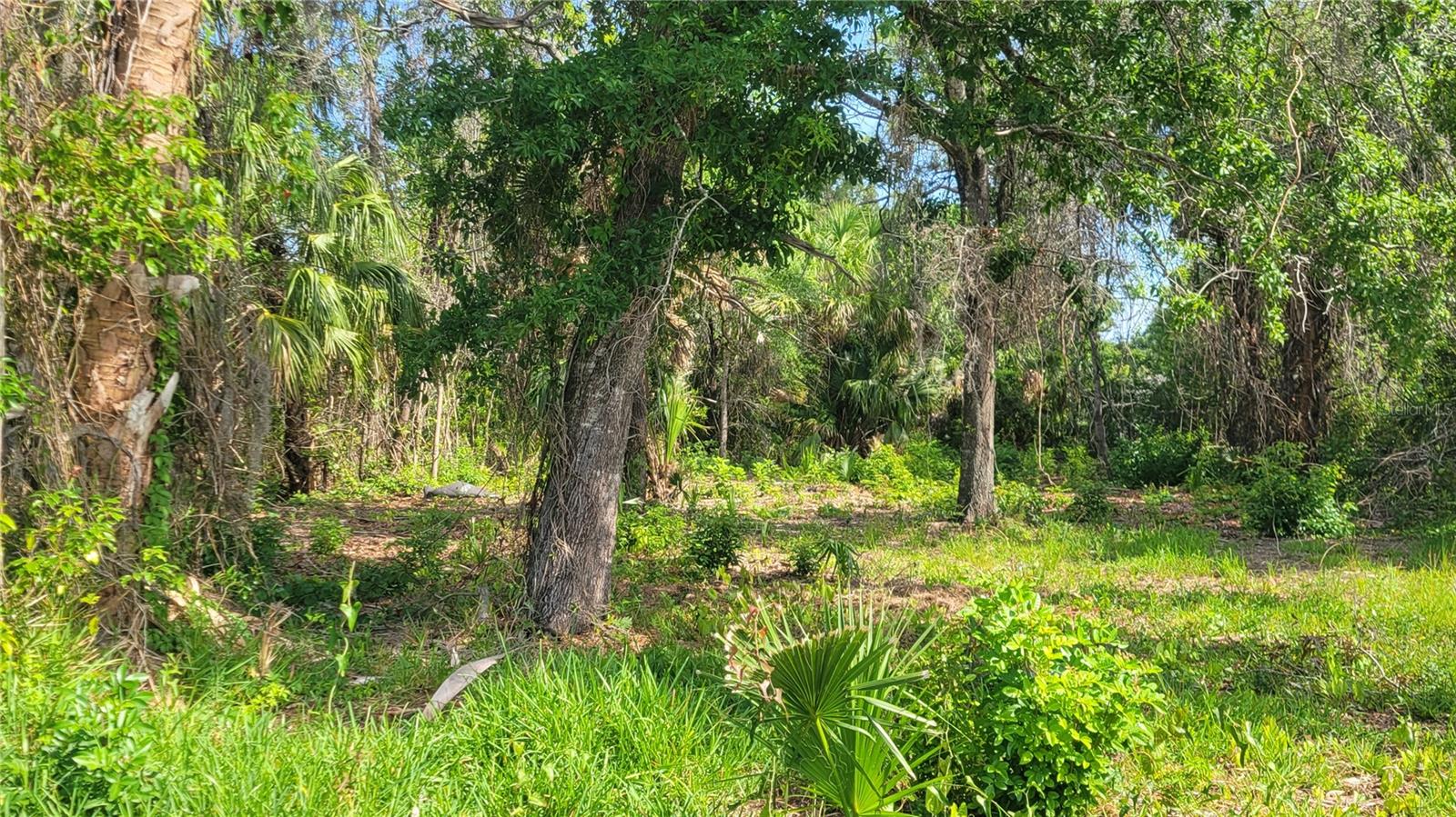 Lot 40 NEEDLES DR, HUDSON, FL, 34667