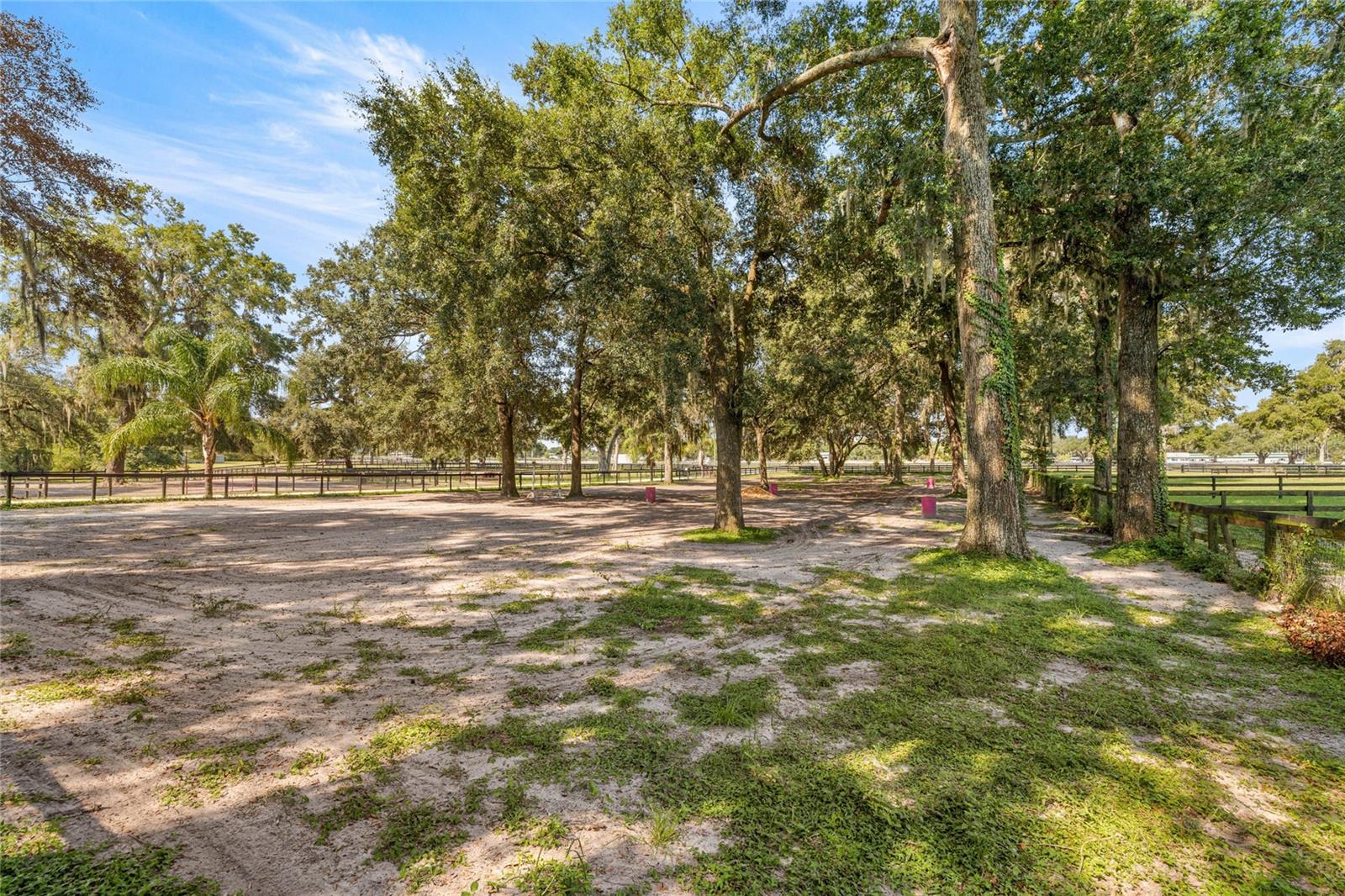 13646 N US HIGHWAY 27, OCALA, FL, 34482