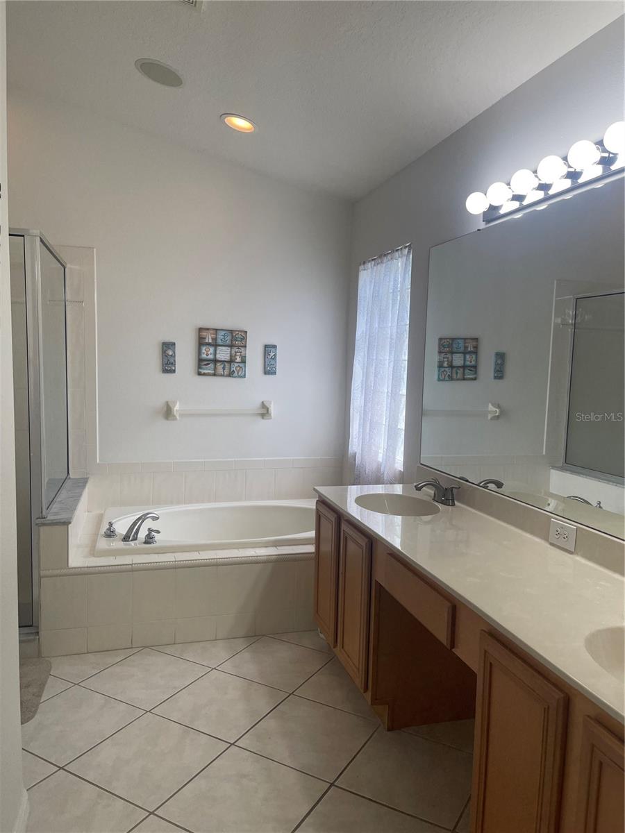 15317 LAKE BELLA VISTA DR, TAMPA, FL, 33625