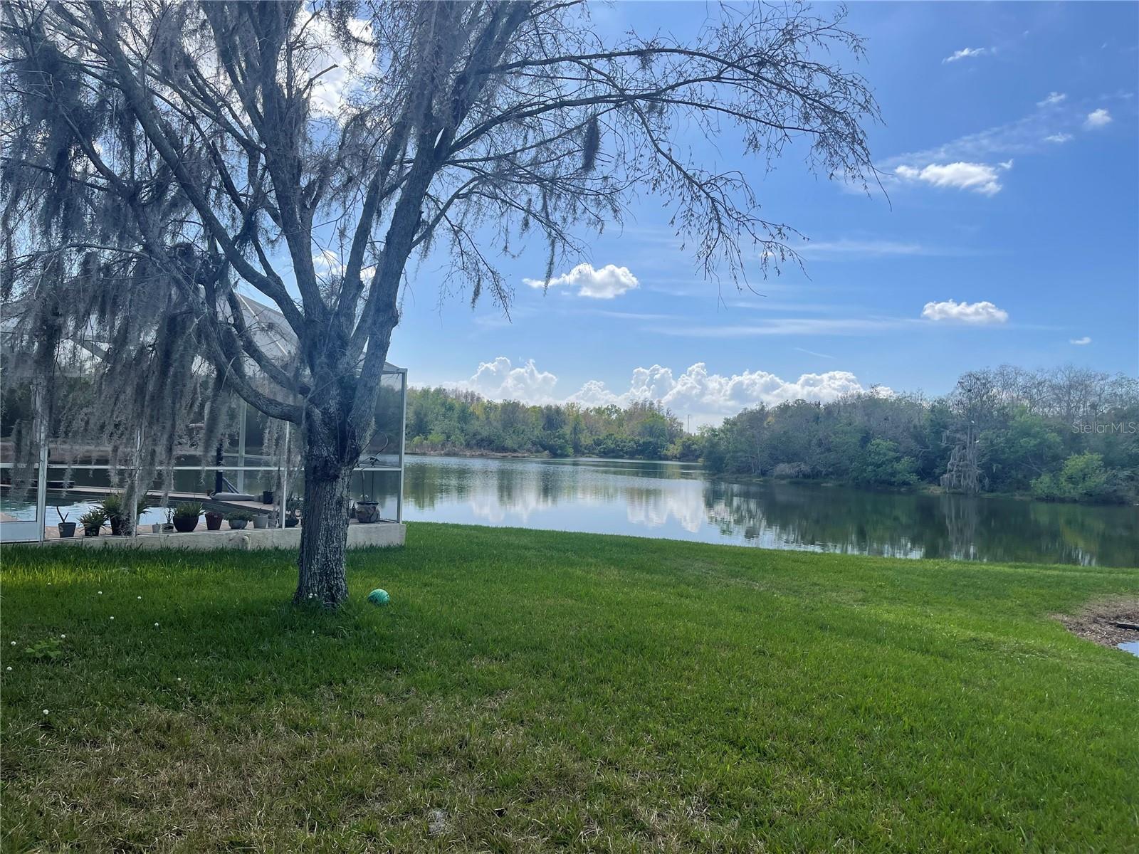 15317 LAKE BELLA VISTA DR, TAMPA, FL, 33625