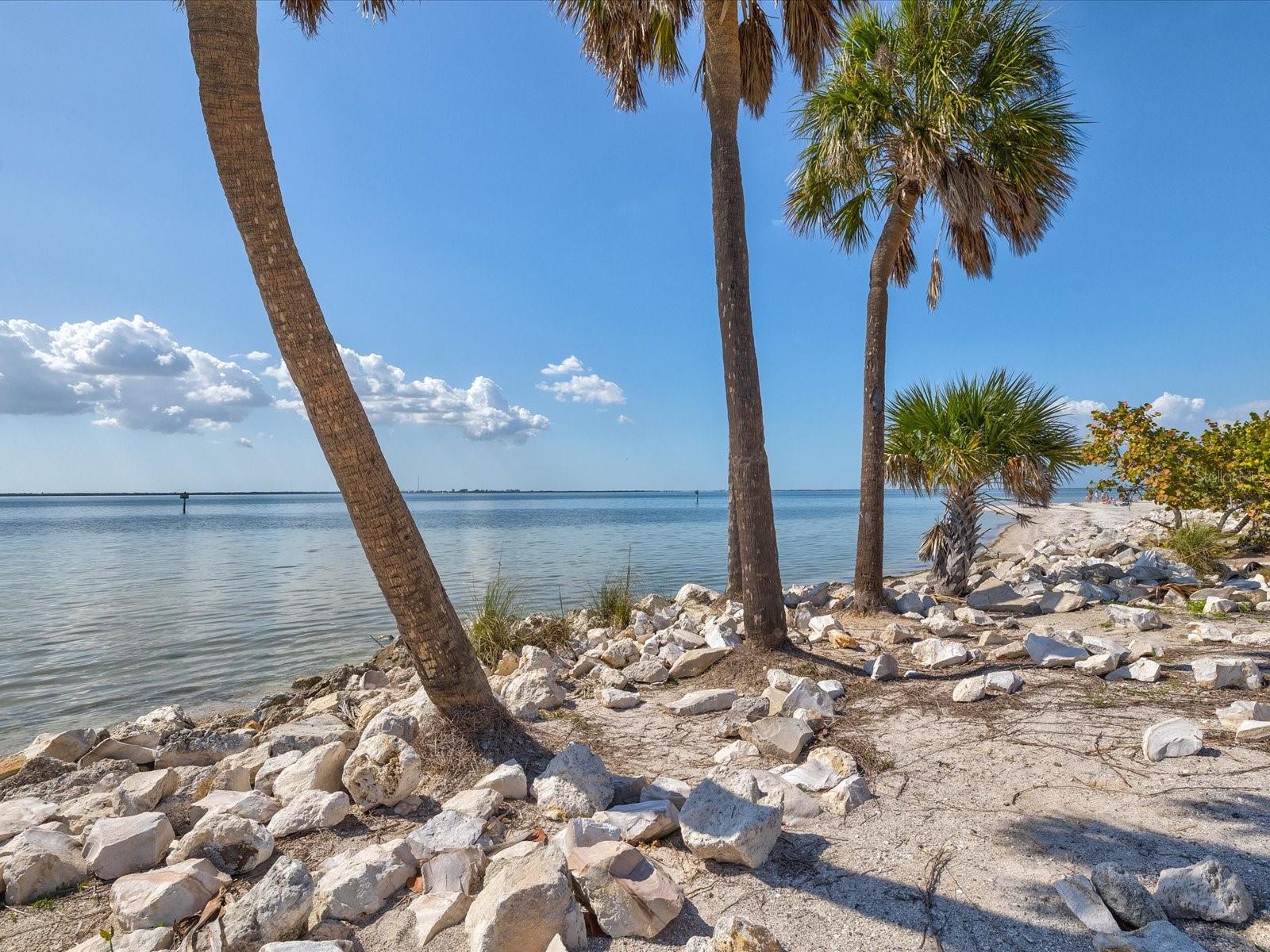 5002 W IDAHO ST, TAMPA, FL, 33616