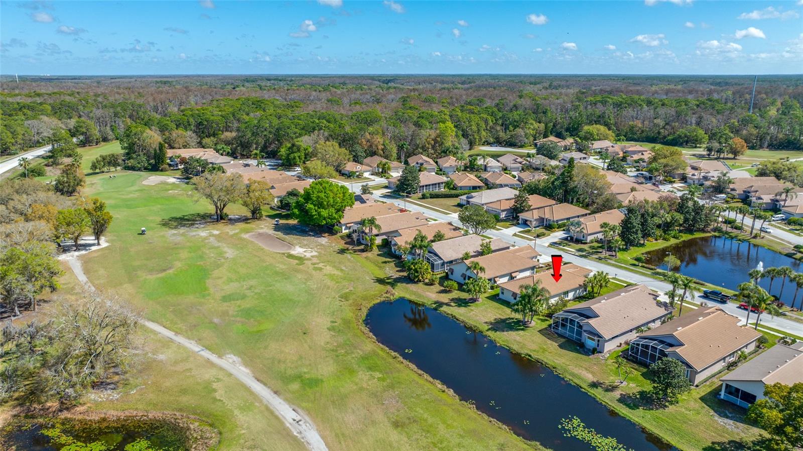 3912 SILK OAK LN, PALM HARBOR, FL, 34685