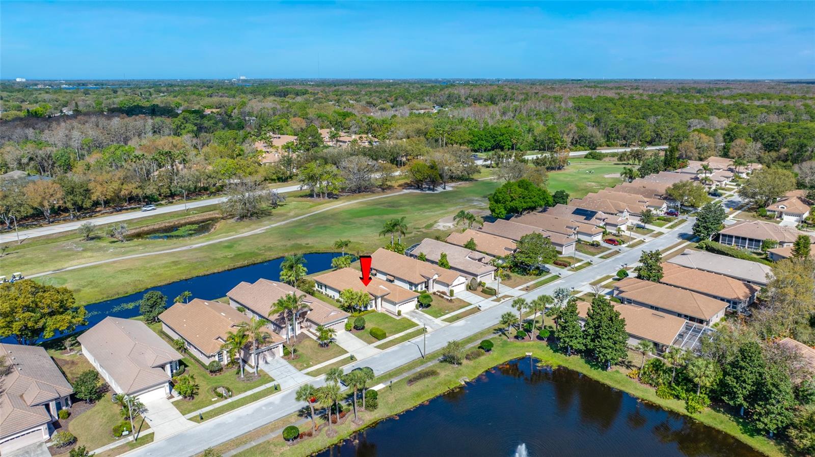 3912 SILK OAK LN, PALM HARBOR, FL, 34685