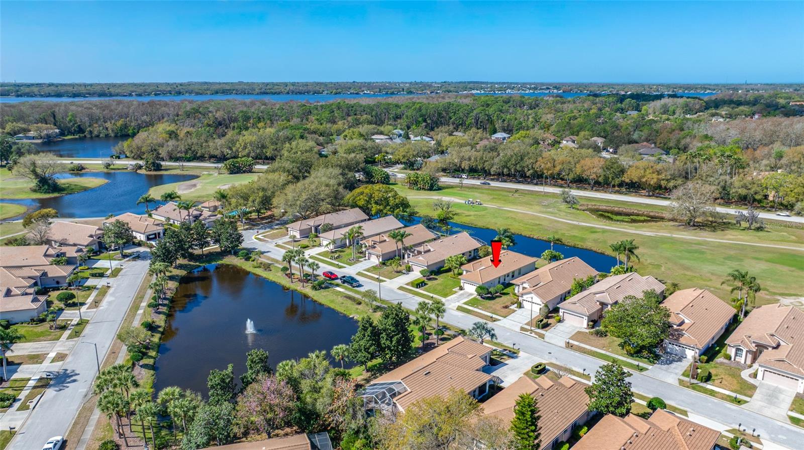 3912 SILK OAK LN, PALM HARBOR, FL, 34685