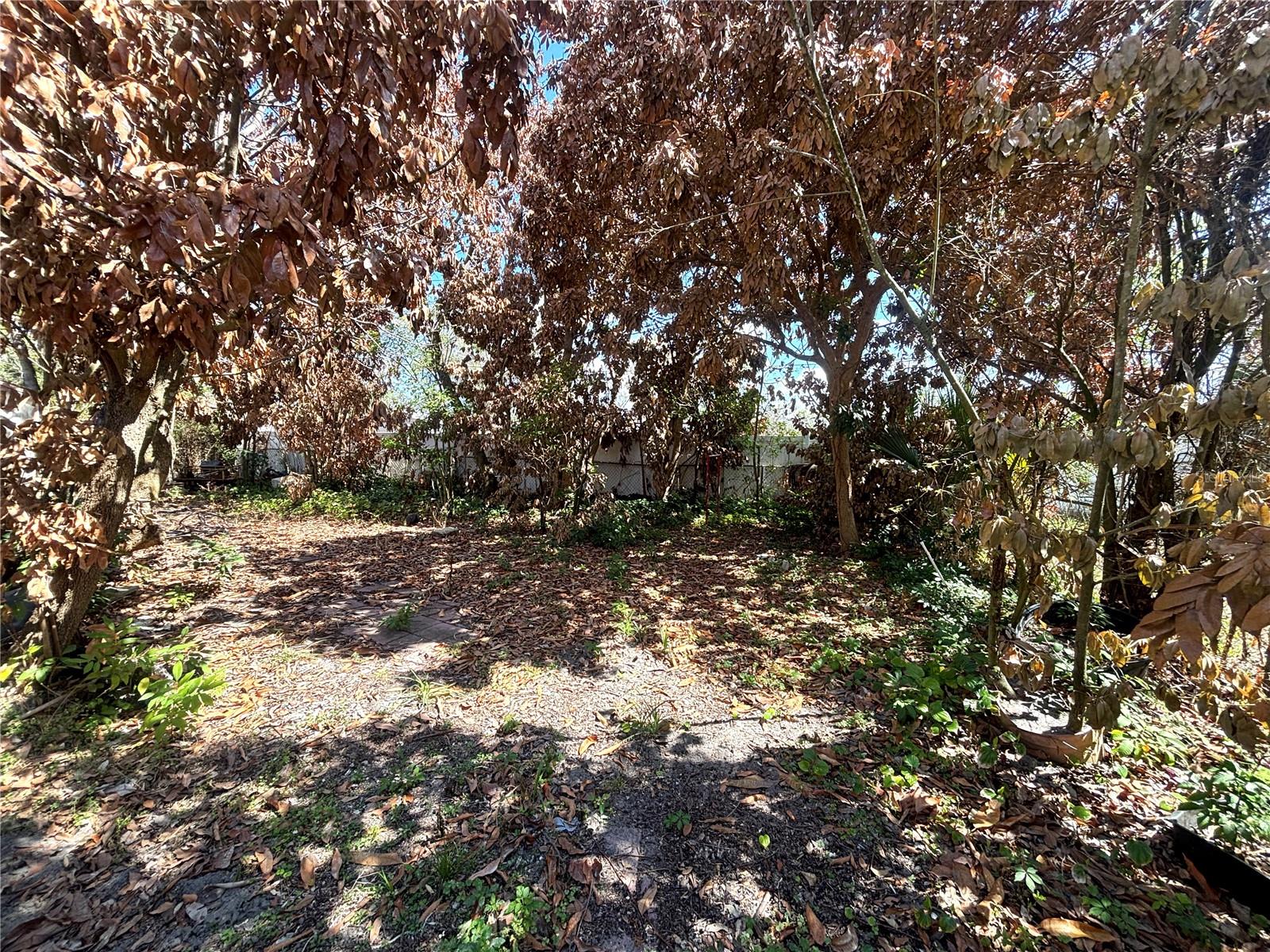 531 CARLISLE AVE, ALTAMONTE SPRINGS, FL, 32714