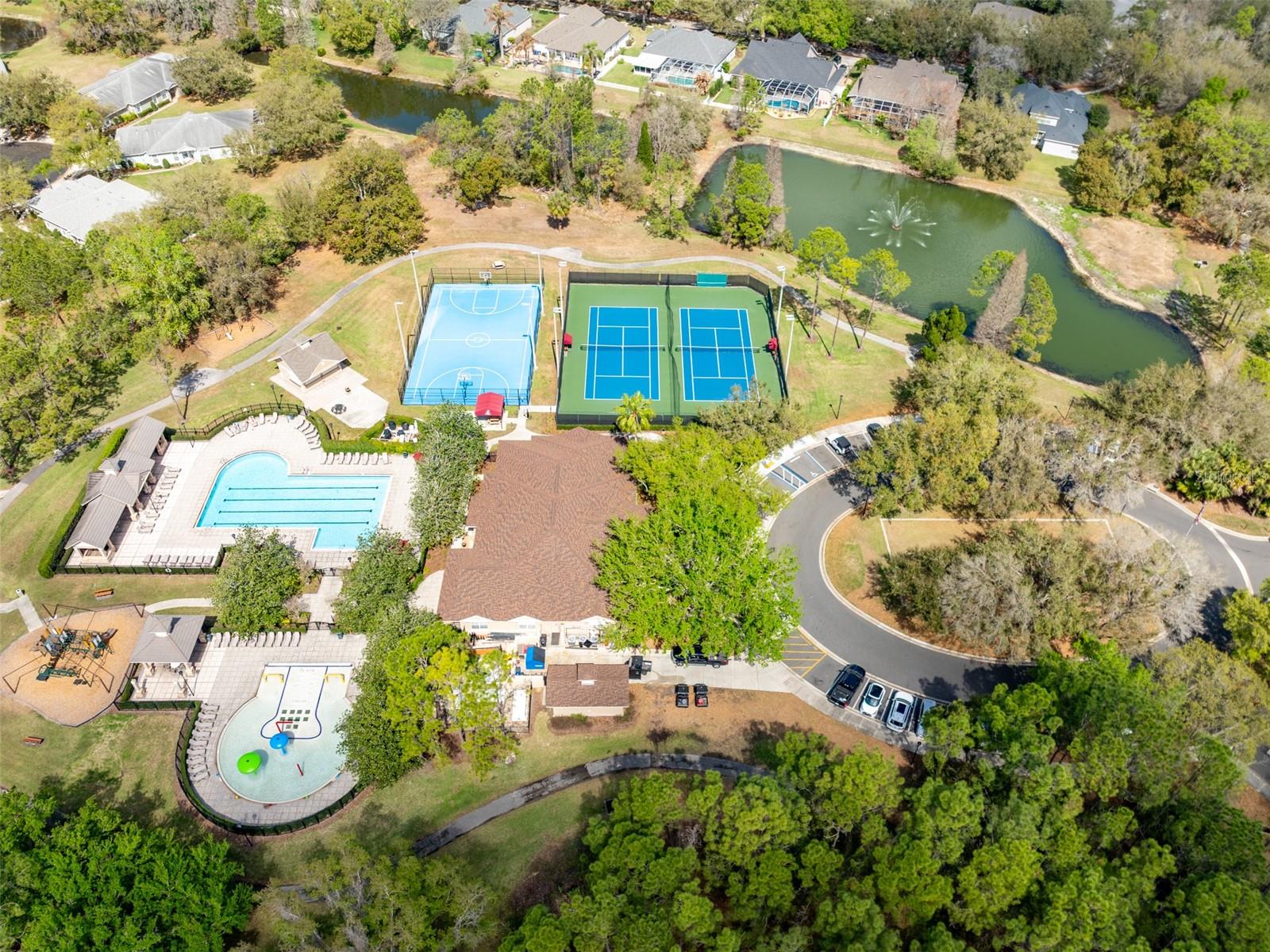 1 of many pools in Fishhawk Ranch!
