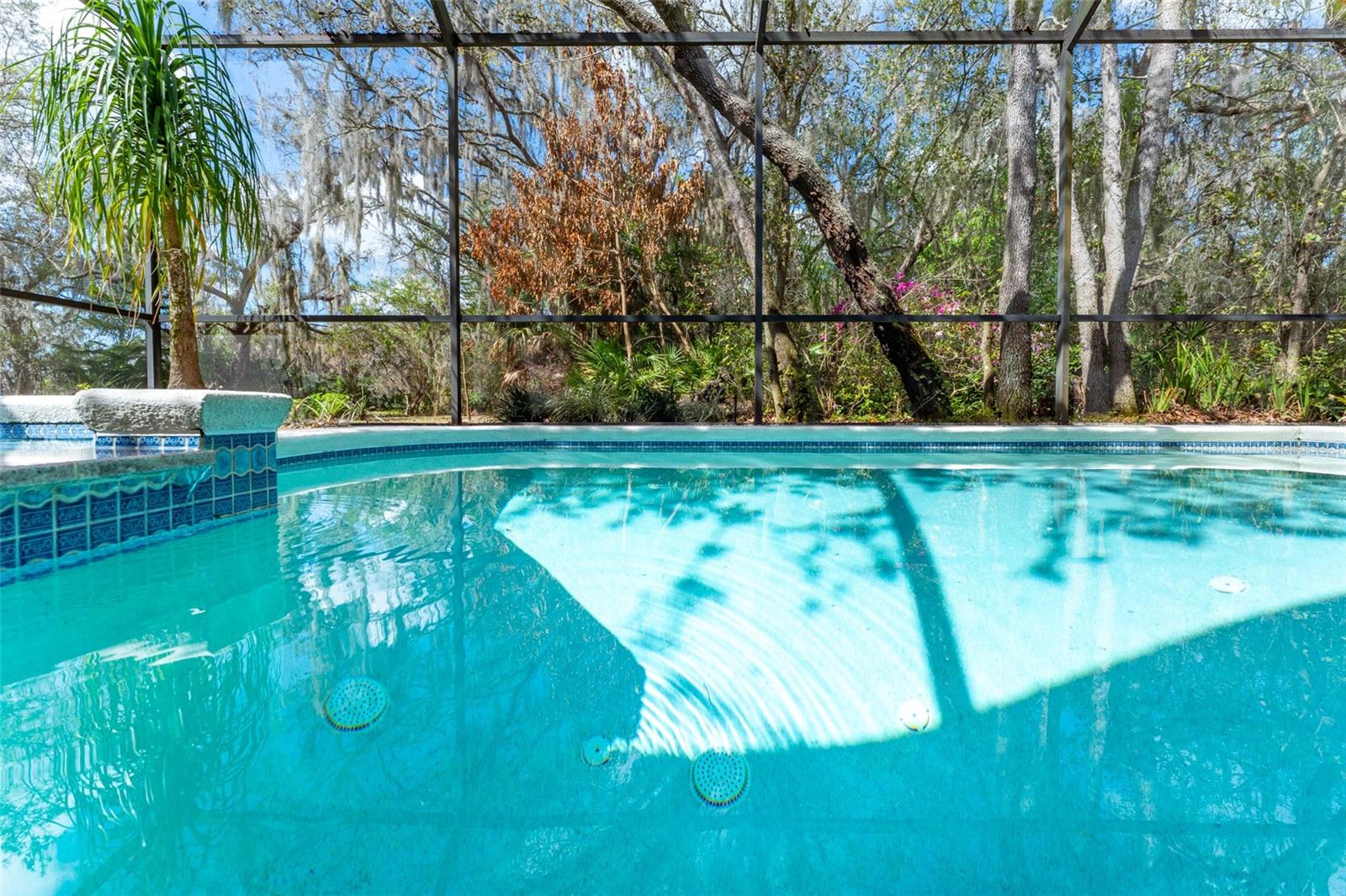 Brand New Pool Heater