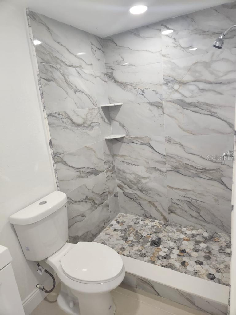 10113 ROYAL ACRES CT, TAMPA, FL, 33615