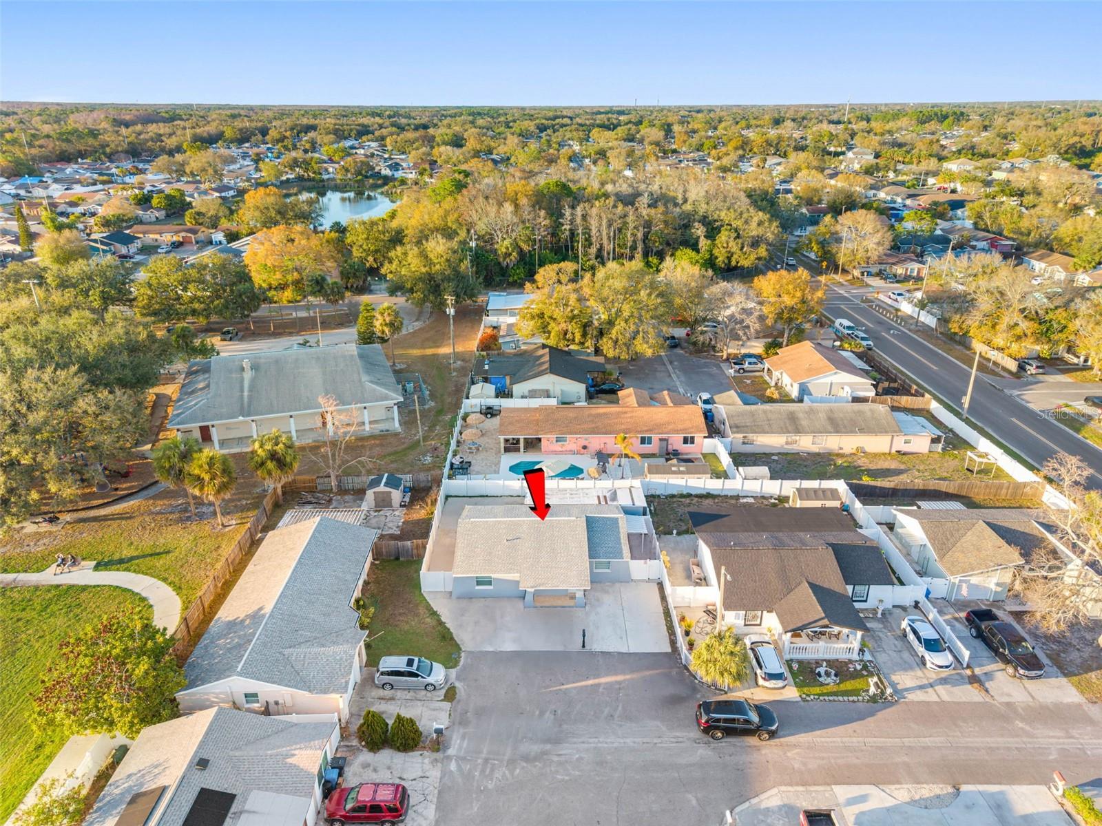 10113 ROYAL ACRES CT, TAMPA, FL, 33615