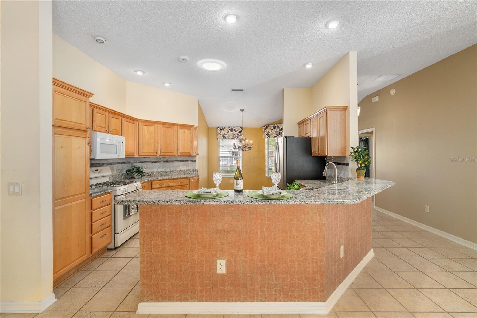 1253 GREENVILLE WAY, THE VILLAGES, FL, 32162