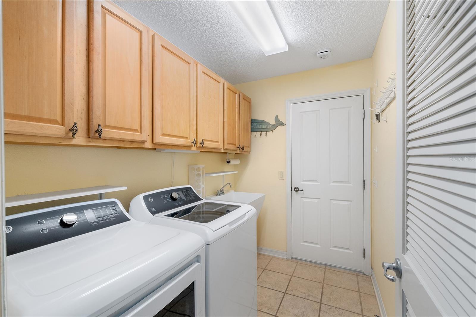 1253 GREENVILLE WAY, THE VILLAGES, FL, 32162
