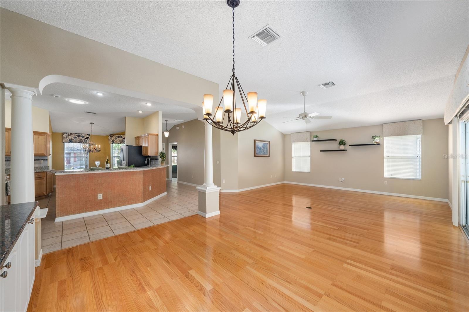 1253 GREENVILLE WAY, THE VILLAGES, FL, 32162