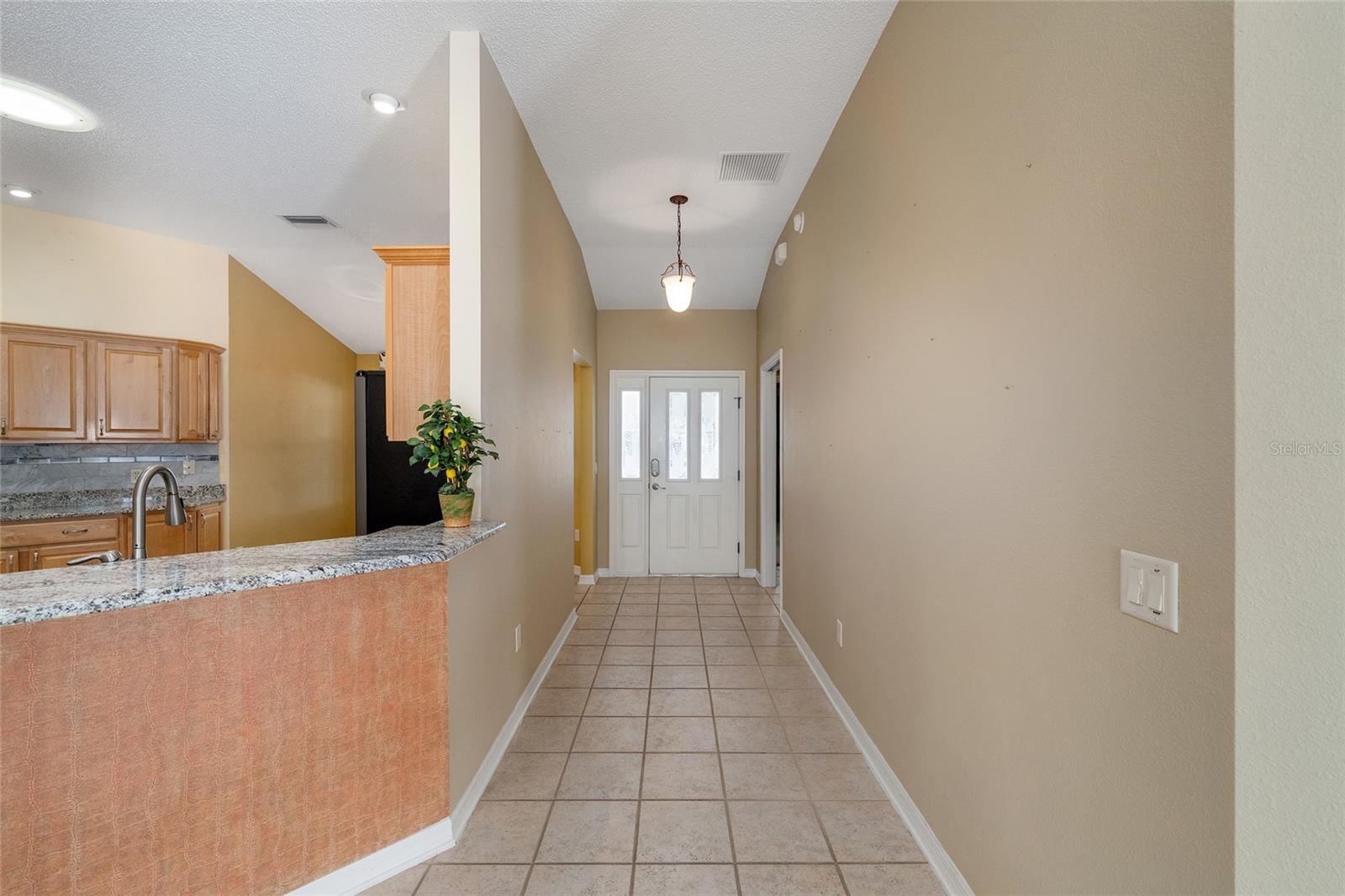 1253 GREENVILLE WAY, THE VILLAGES, FL, 32162