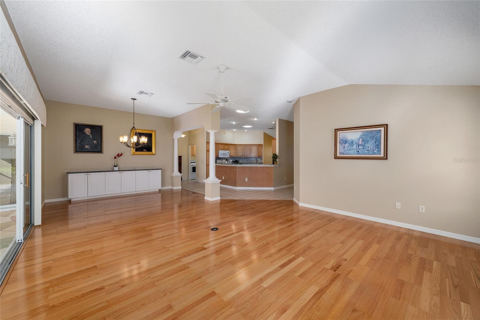 1253 GREENVILLE WAY, THE VILLAGES, FL, 32162