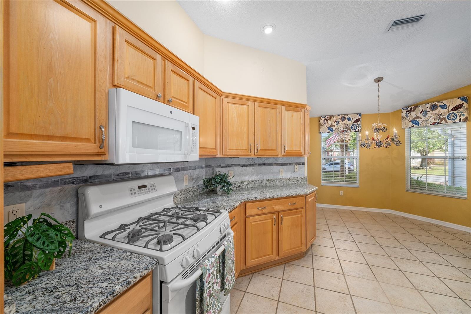 1253 GREENVILLE WAY, THE VILLAGES, FL, 32162