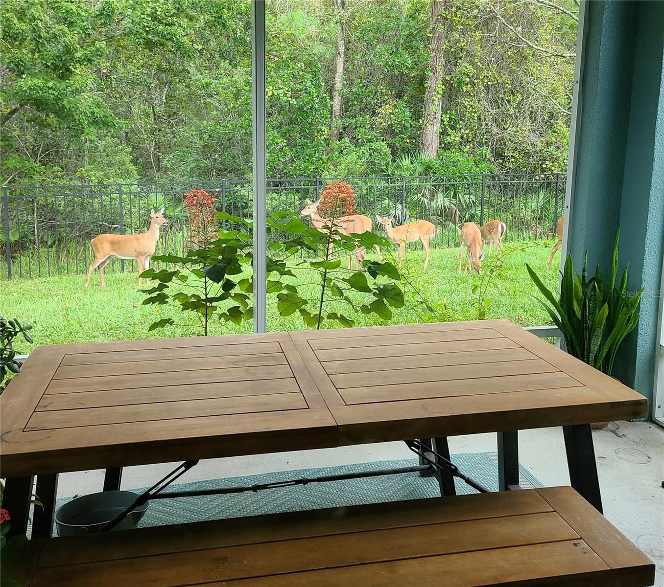 11150 PARADISE POINT WAY, NEW PORT RICHEY, FL, 34654