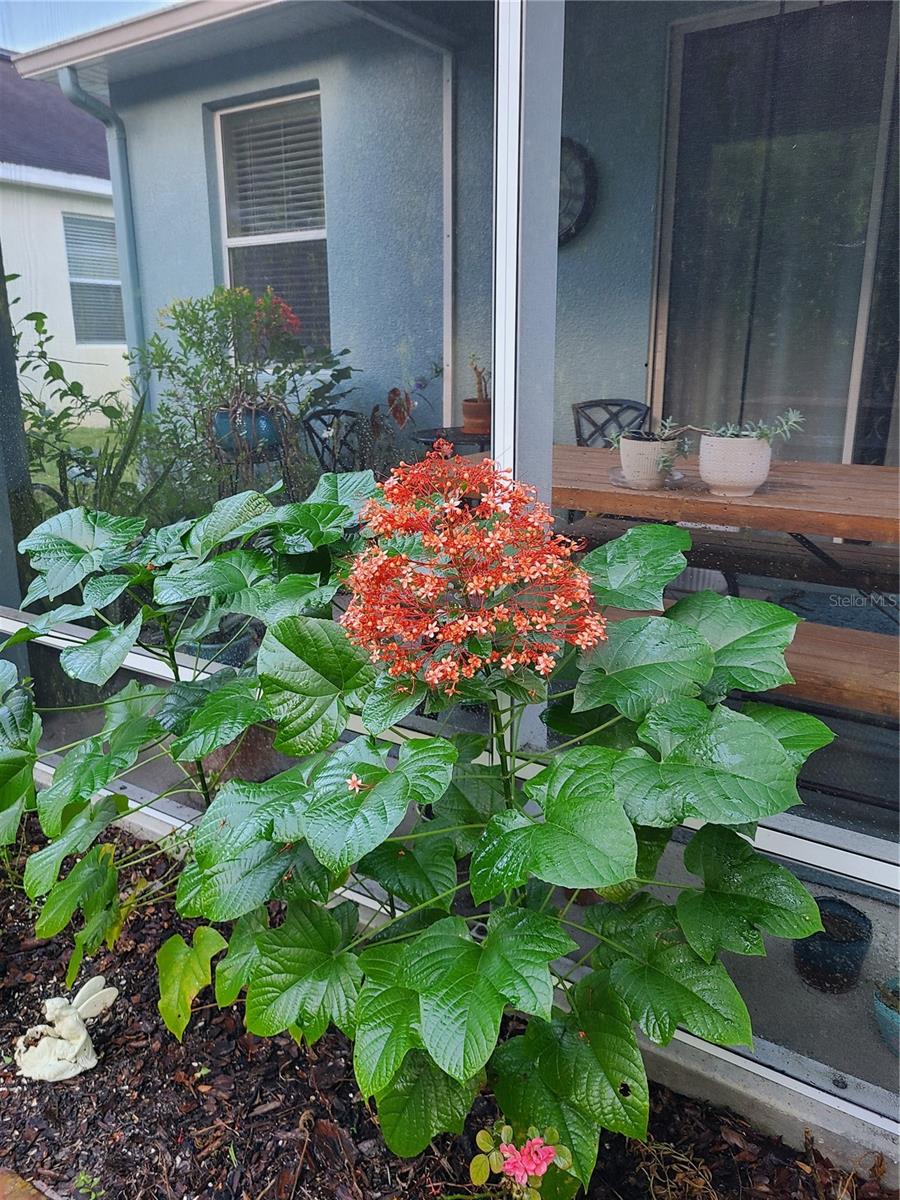 11150 PARADISE POINT WAY, NEW PORT RICHEY, FL, 34654