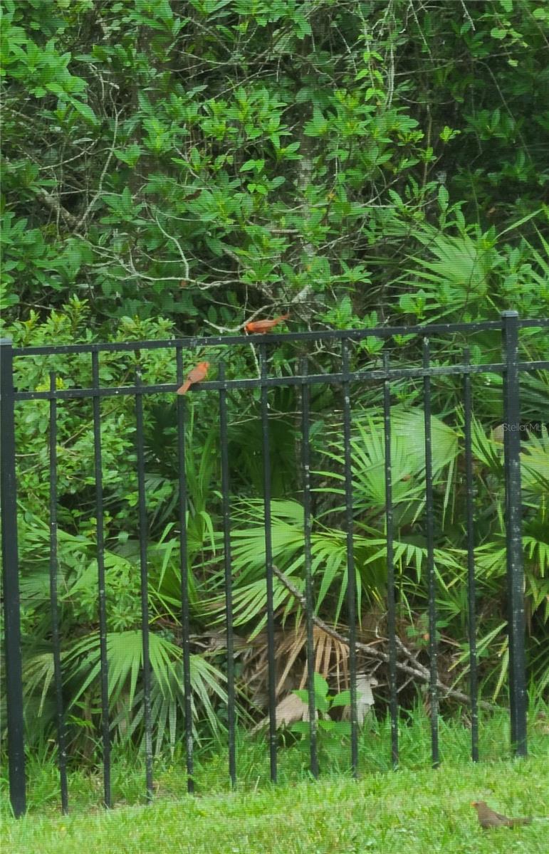 11150 PARADISE POINT WAY, NEW PORT RICHEY, FL, 34654