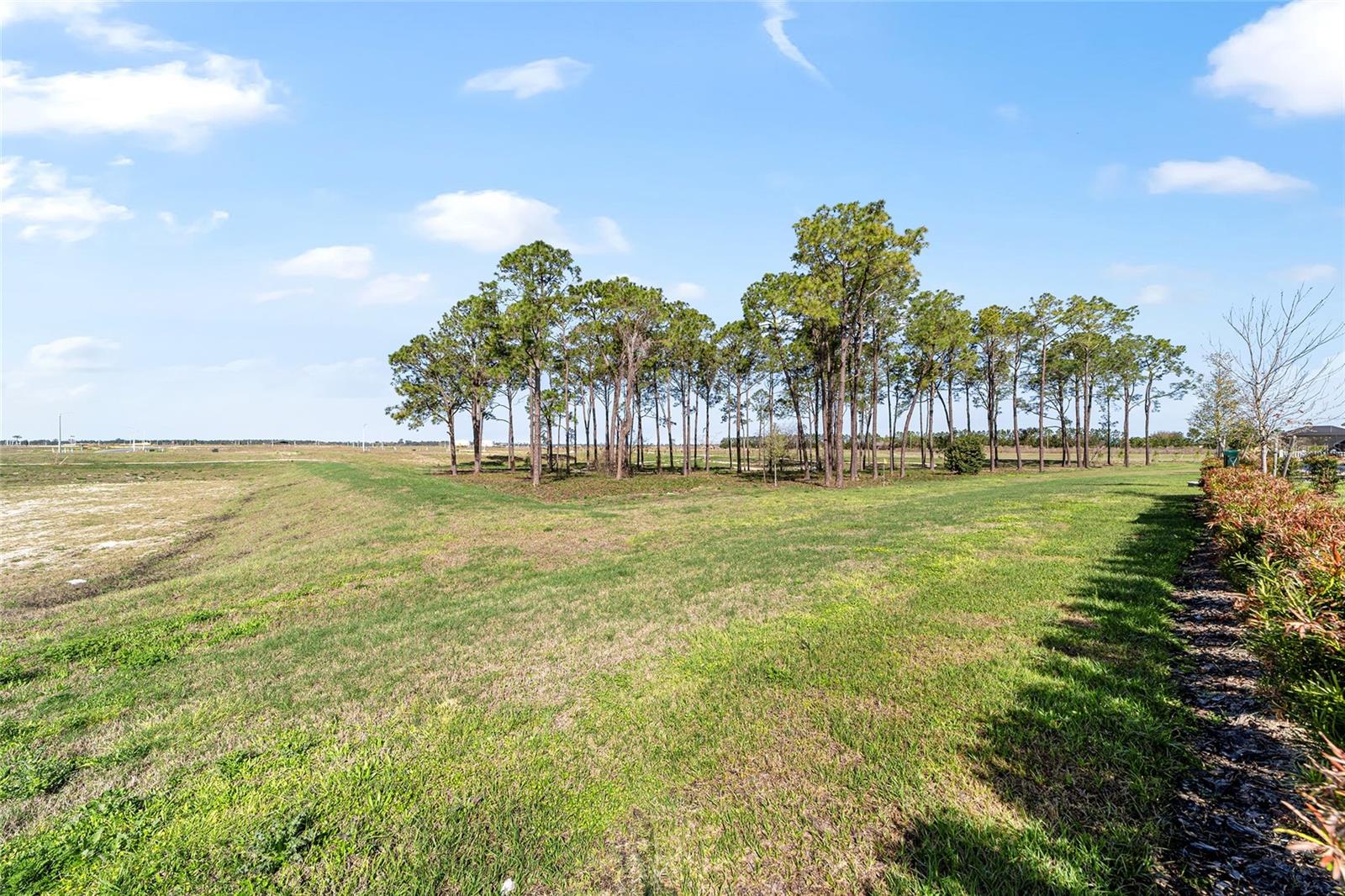 8176 SW 98TH TERRACE RD, OCALA, FL, 34481