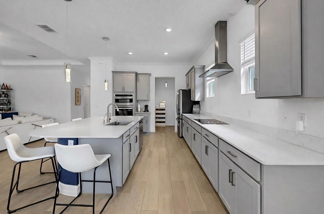 12841 BERGSTROM BAY DR, RIVERVIEW, FL, 33579