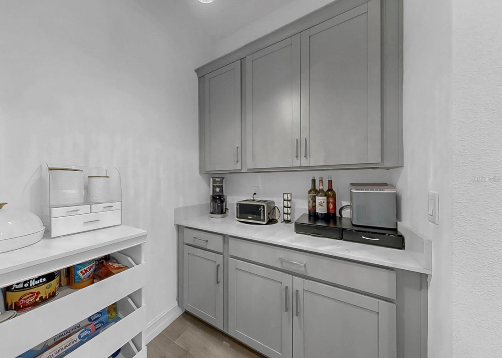 12841 BERGSTROM BAY DR, RIVERVIEW, FL, 33579