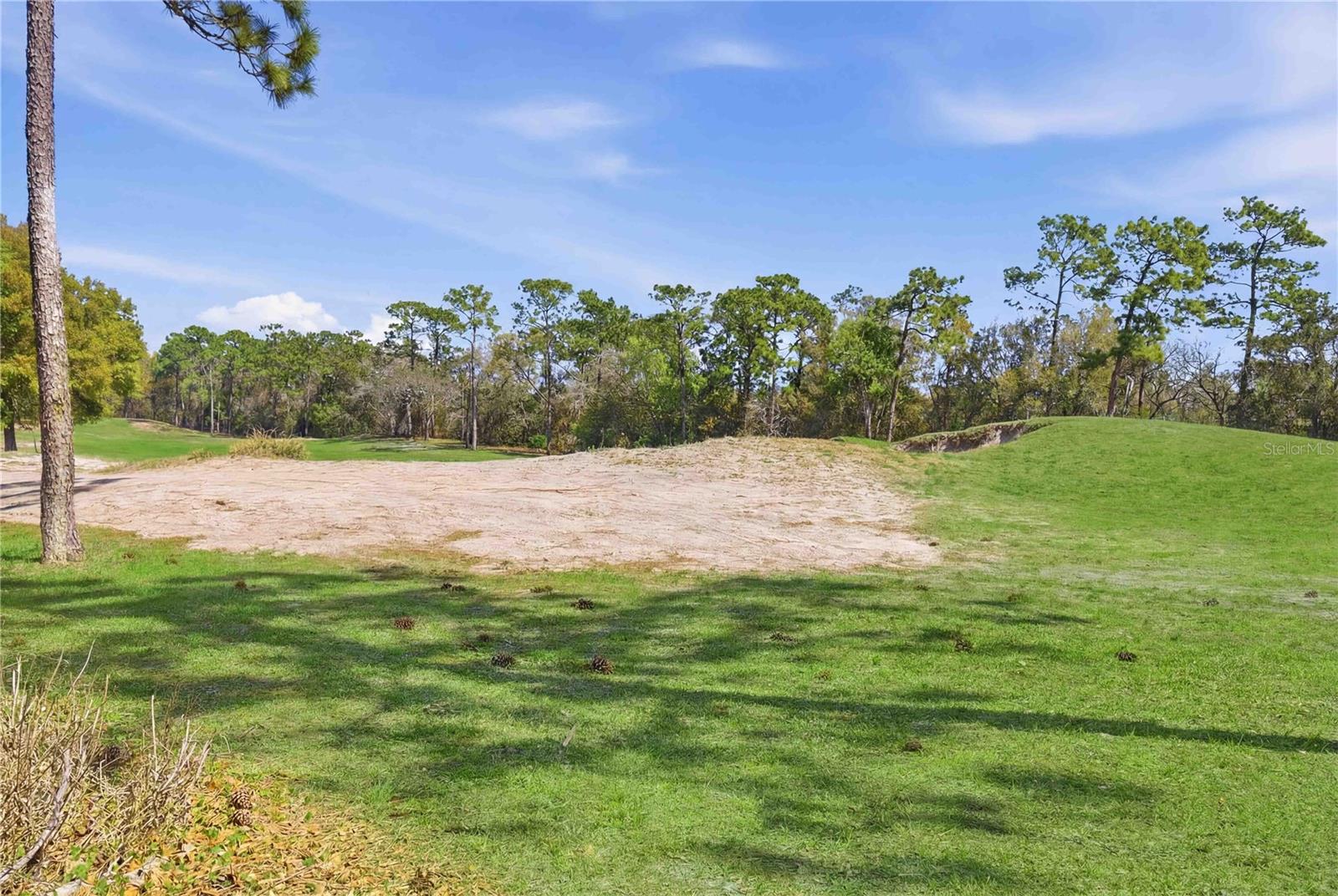 439 VICTORIA HILLS DR, DELAND, FL, 32724