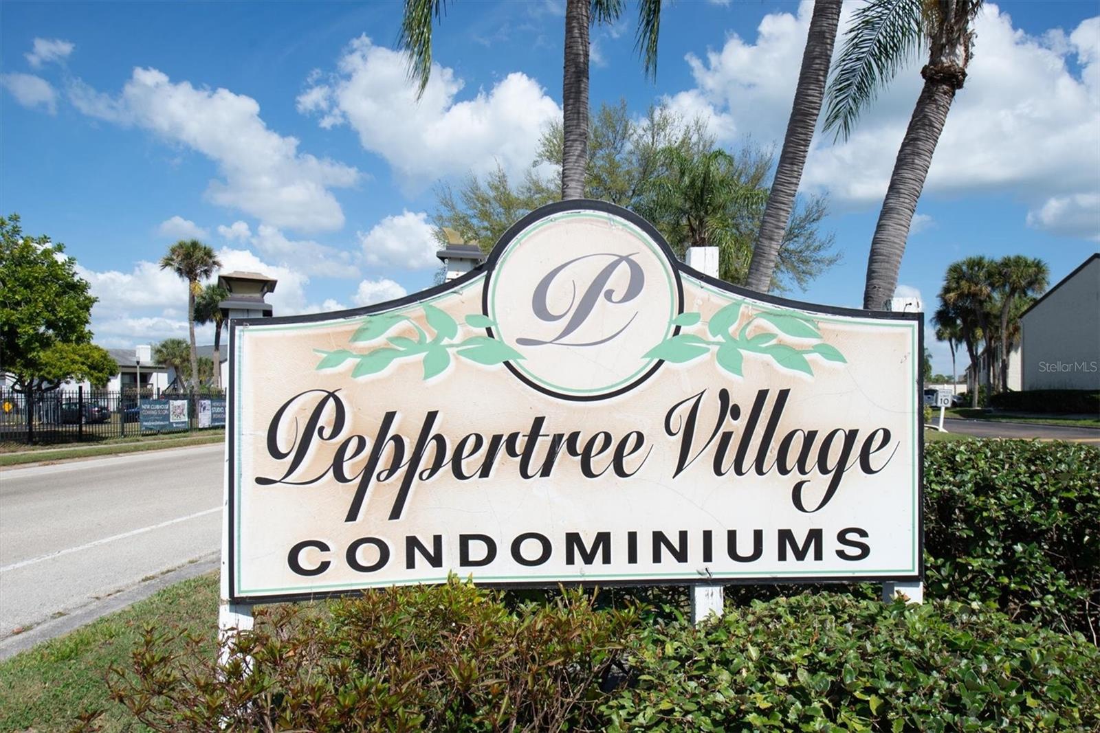 11410 8TH WAY N #311, ST PETERSBURG, FL, 33716