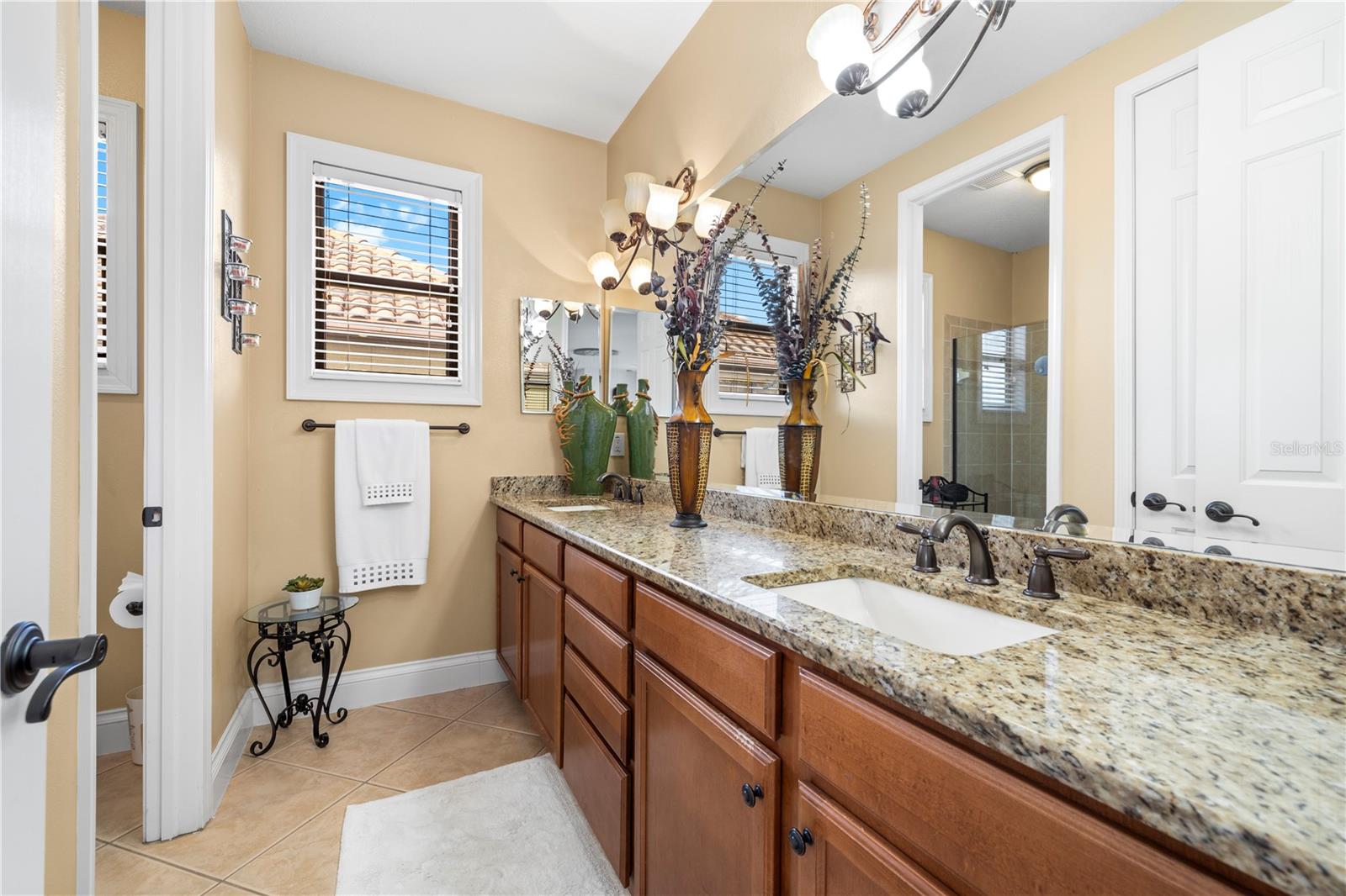 20120 SHADY HILL LN, TAMPA, FL, 33647