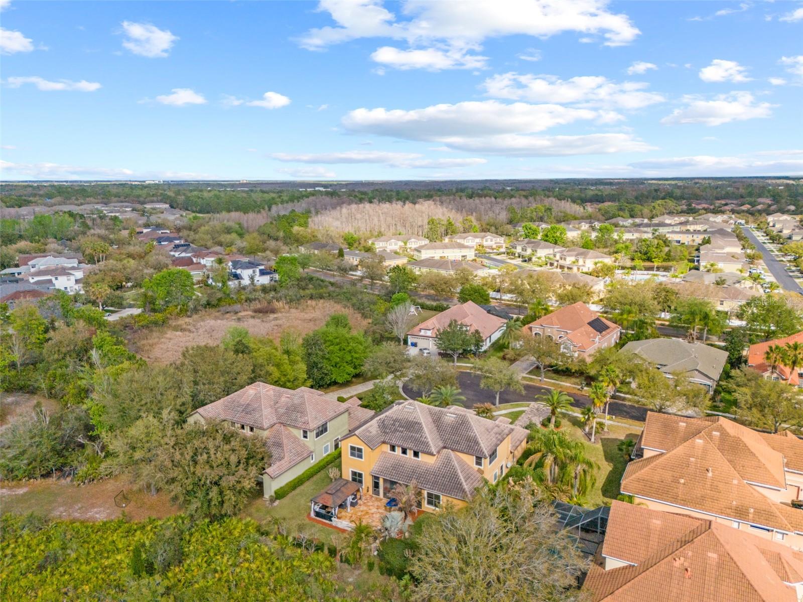 20120 SHADY HILL LN, TAMPA, FL, 33647