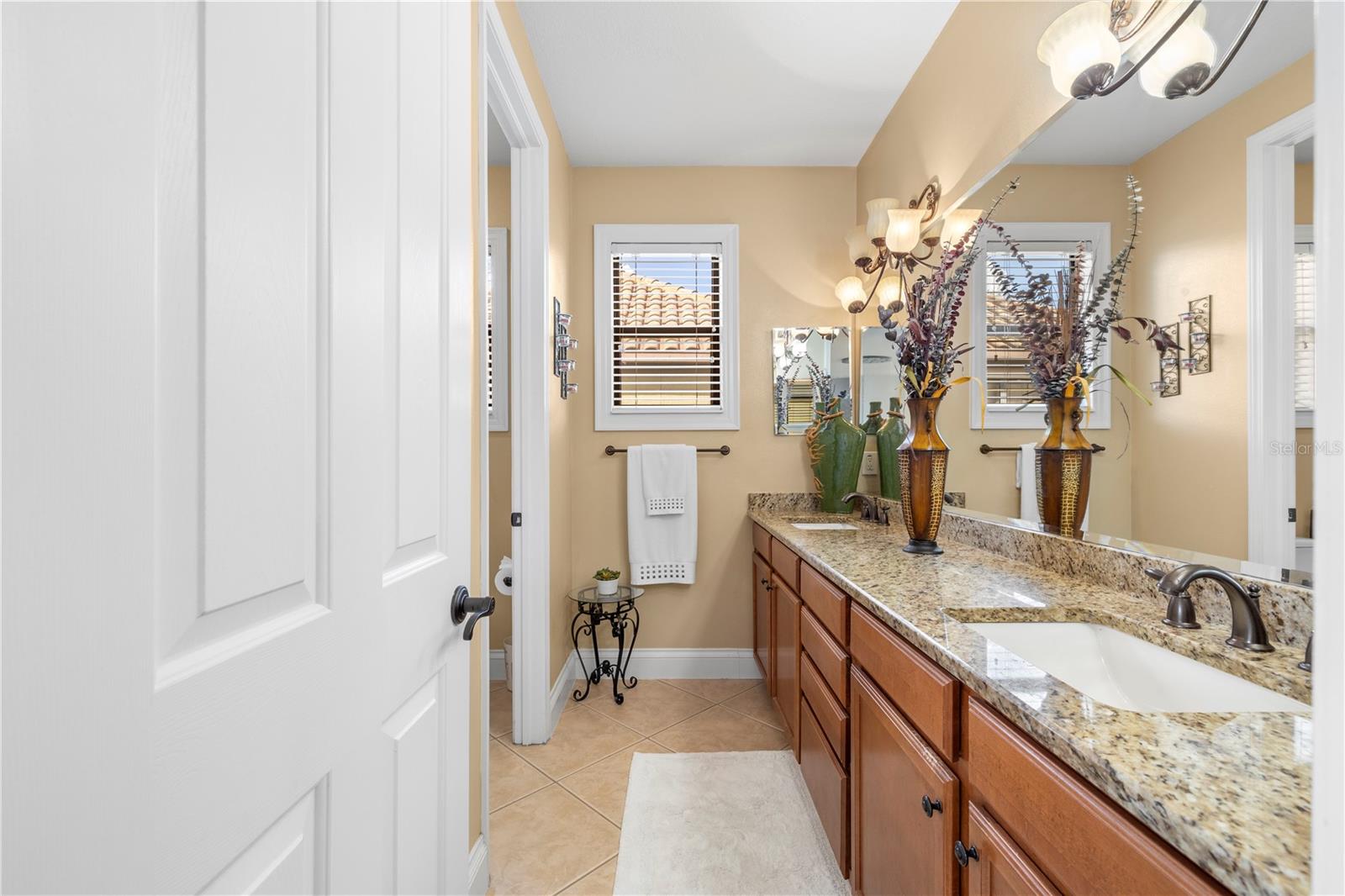 20120 SHADY HILL LN, TAMPA, FL, 33647