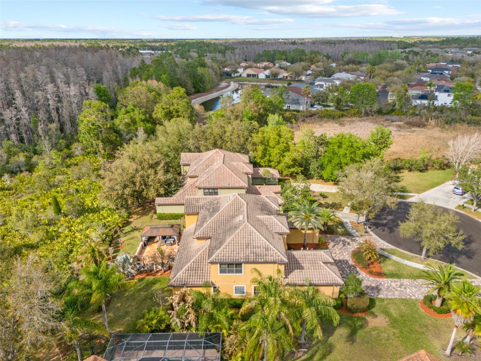 20120 SHADY HILL LN, TAMPA, FL, 33647