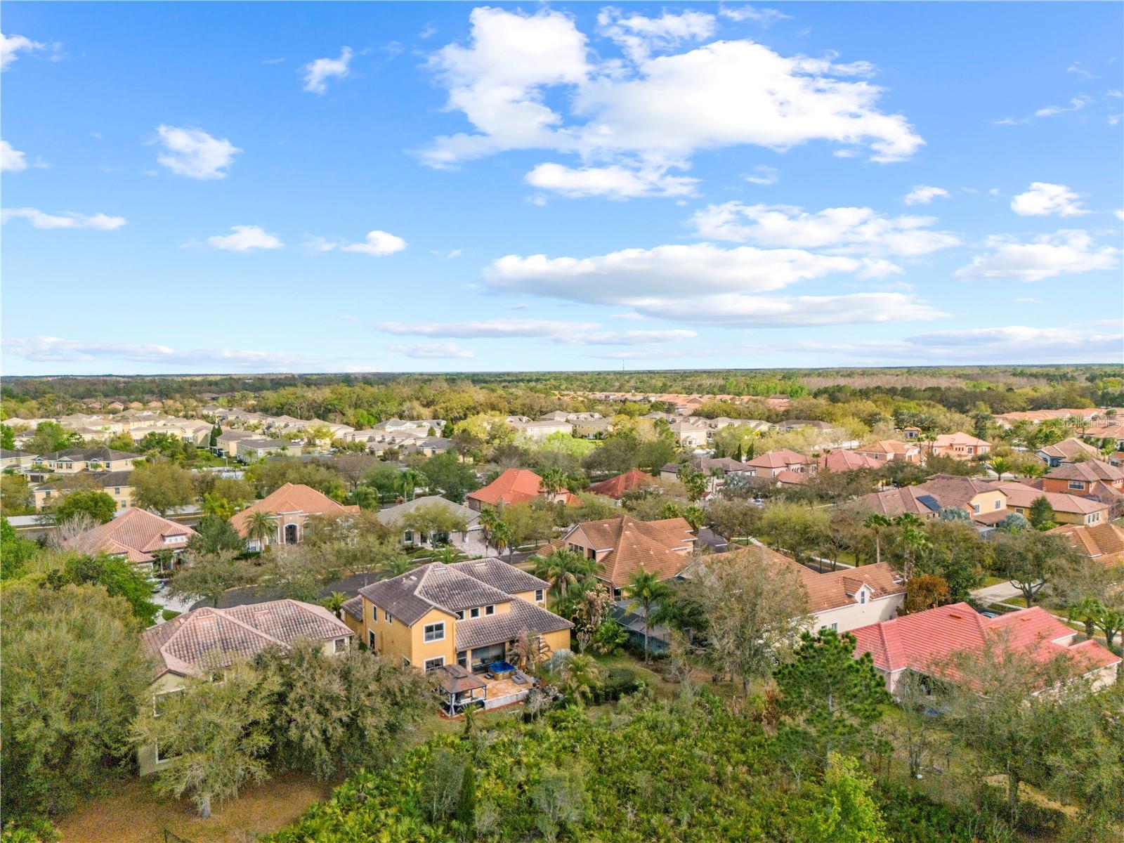 20120 SHADY HILL LN, TAMPA, FL, 33647