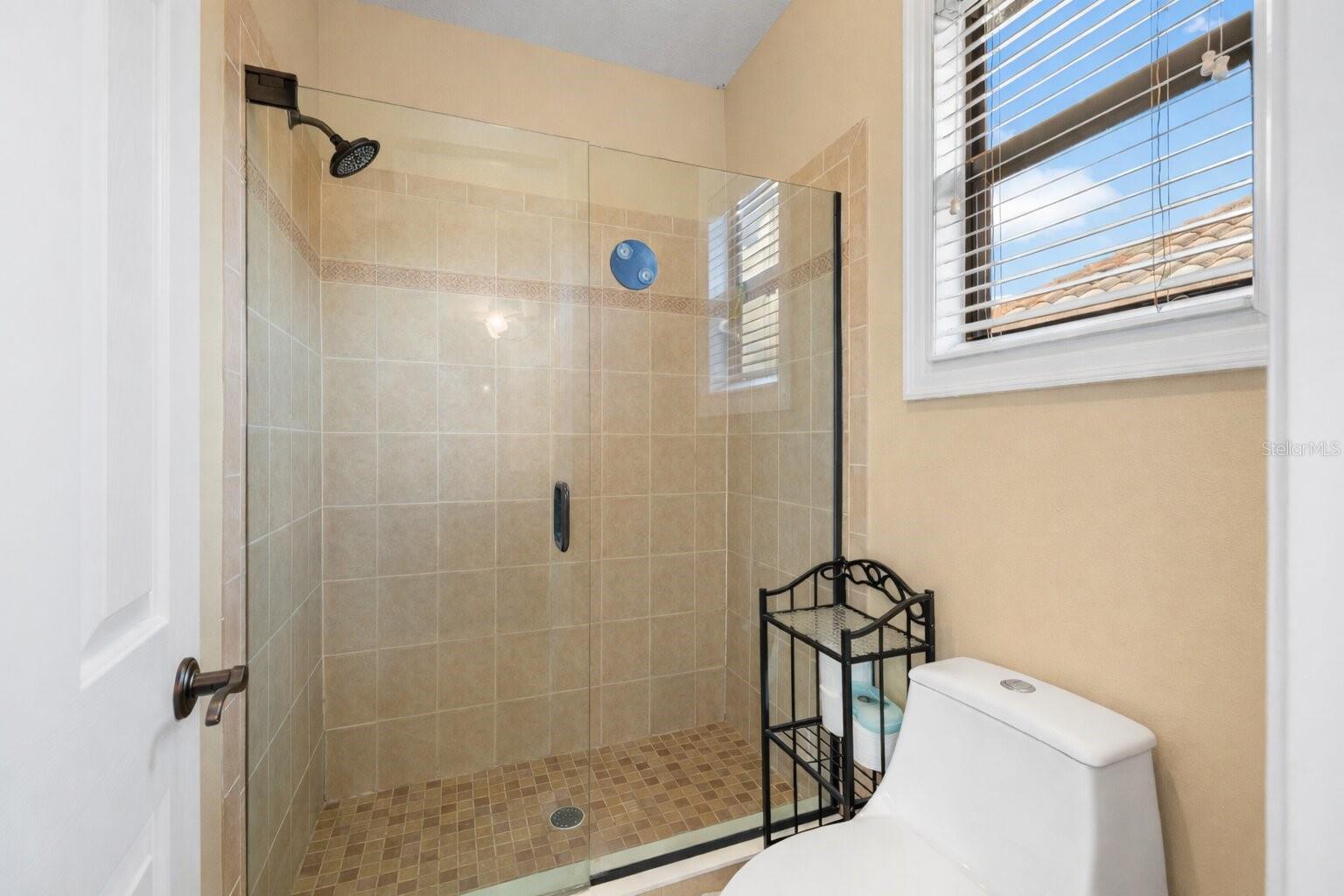 20120 SHADY HILL LN, TAMPA, FL, 33647