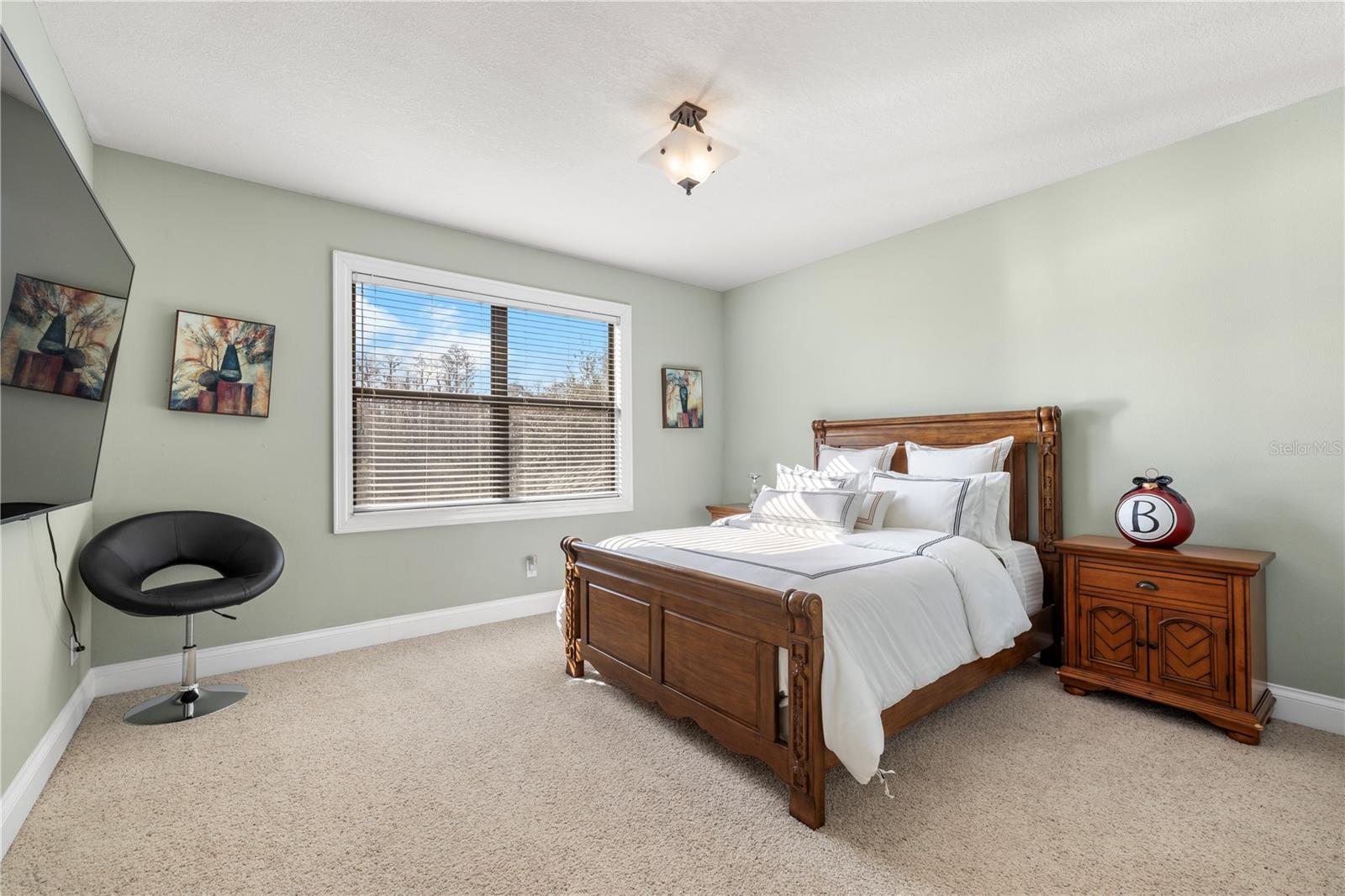 20120 SHADY HILL LN, TAMPA, FL, 33647