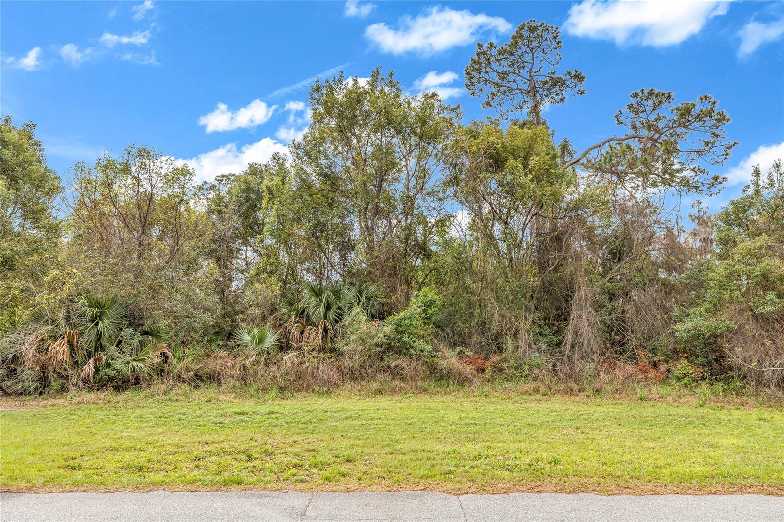 205 PLUMOSA RD, DEBARY, FL, 32713