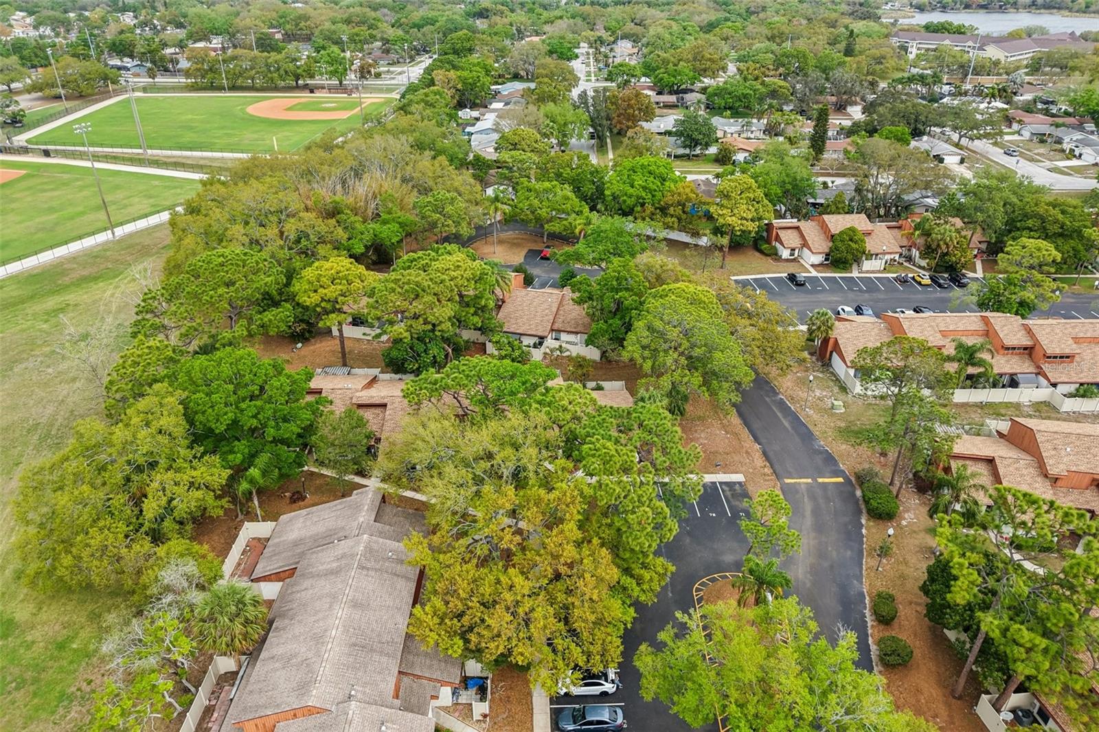 2064 SUNSET POINT RD #71, CLEARWATER, FL, 33765