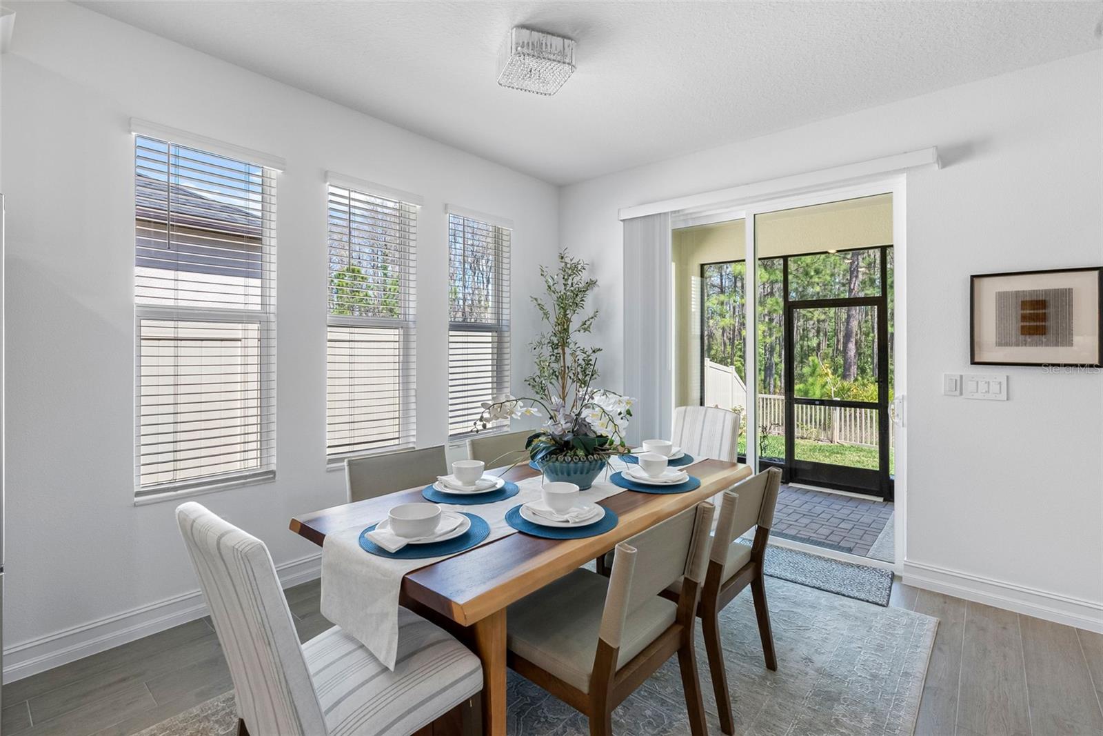 18178 SERENE LAKE LOOP, LUTZ, FL, 33548