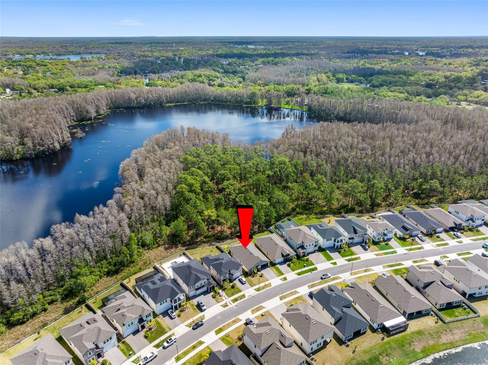 18178 SERENE LAKE LOOP, LUTZ, FL, 33548