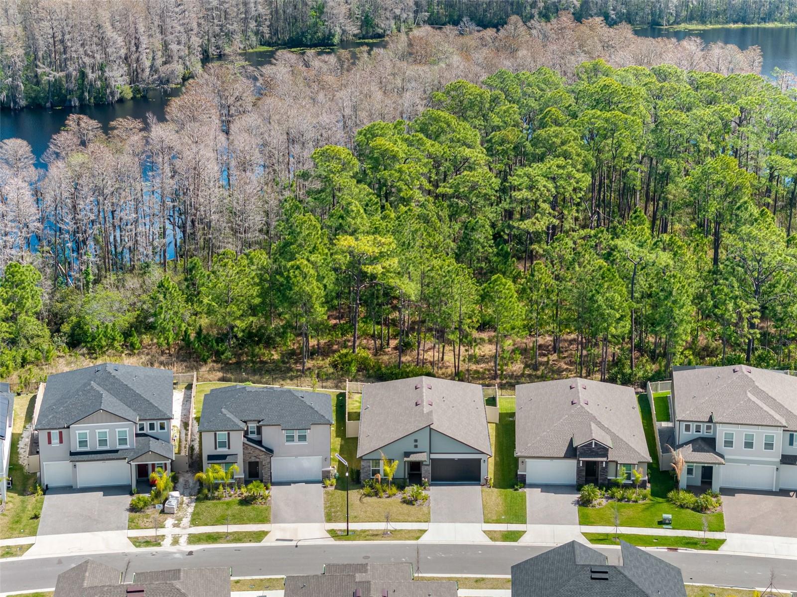 18178 SERENE LAKE LOOP, LUTZ, FL, 33548