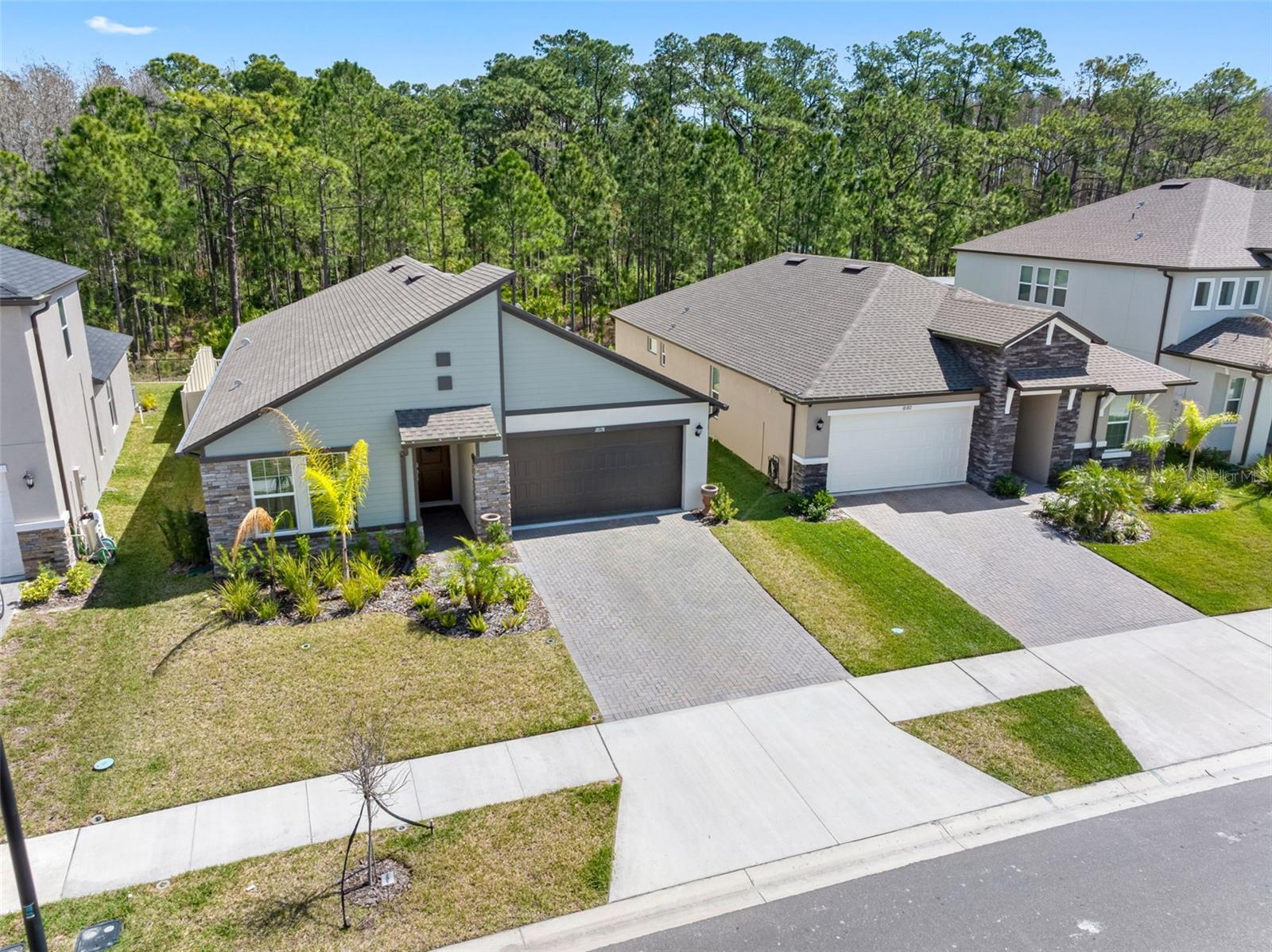 18178 SERENE LAKE LOOP, LUTZ, FL, 33548