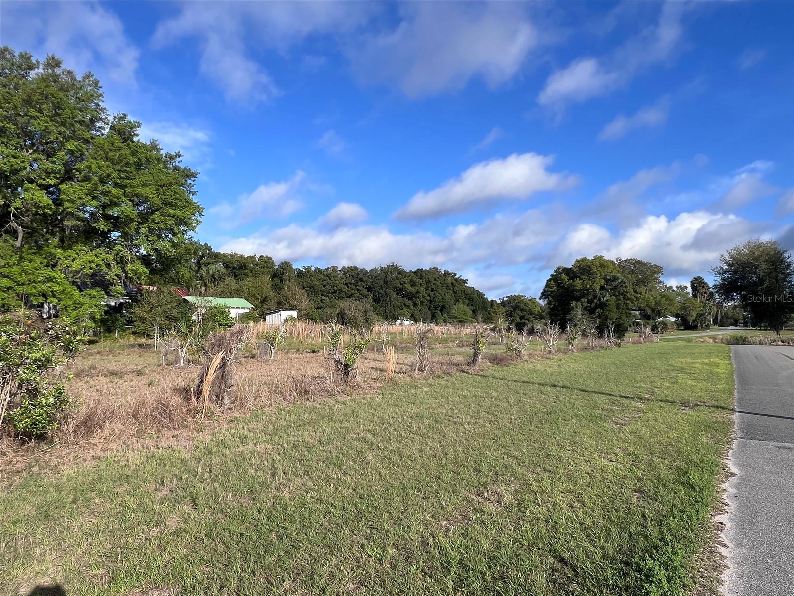 180 E 3RD AVE, PIERSON, FL, 32180