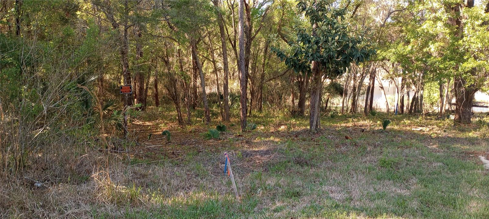 CASAURINA RD, LADY LAKE, FL, 32159