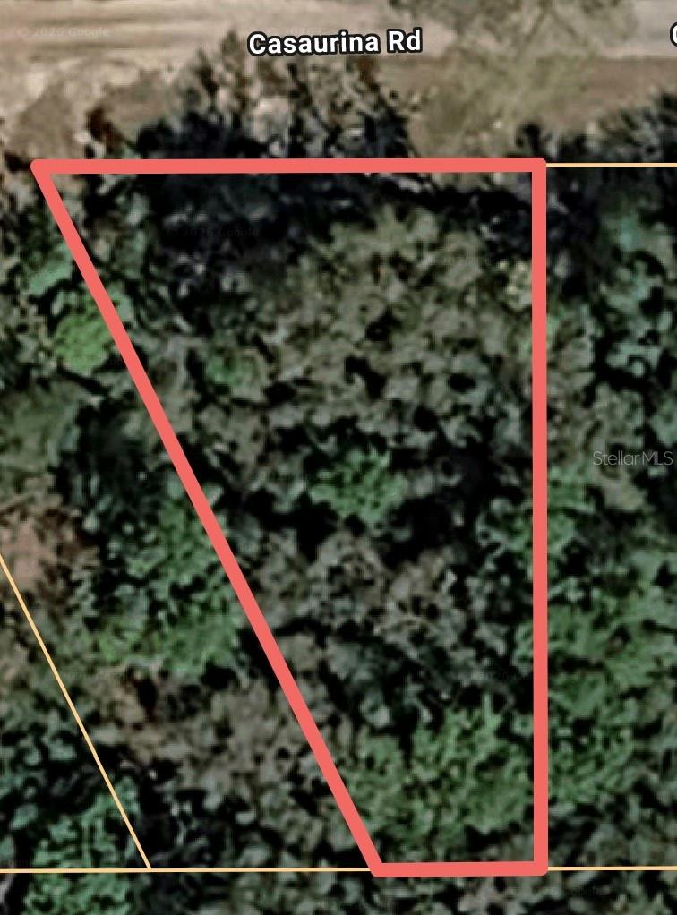 CASAURINA RD, LADY LAKE, FL, 32159