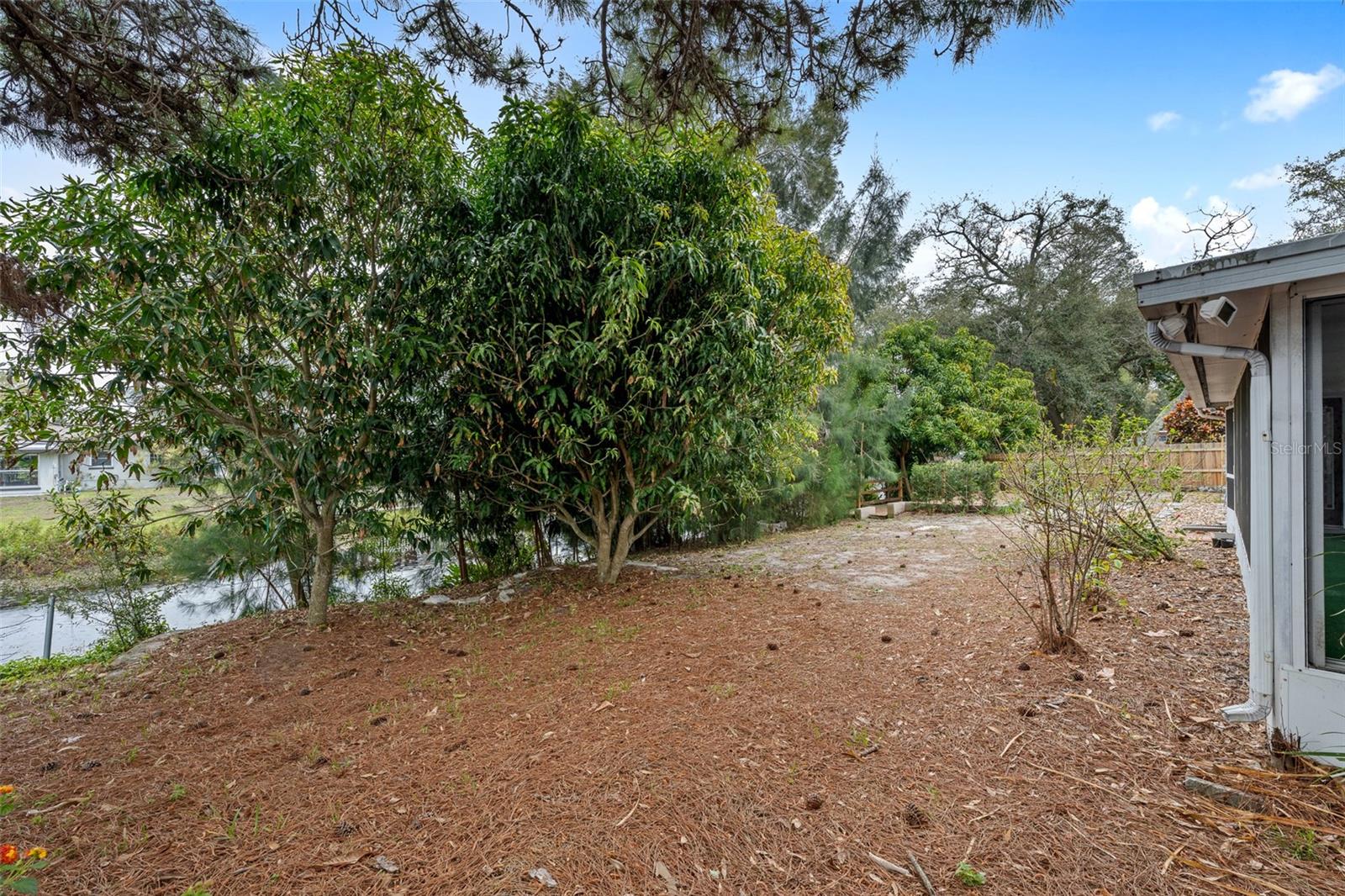 1363 ESSEX DR, CLEARWATER, FL, 33756