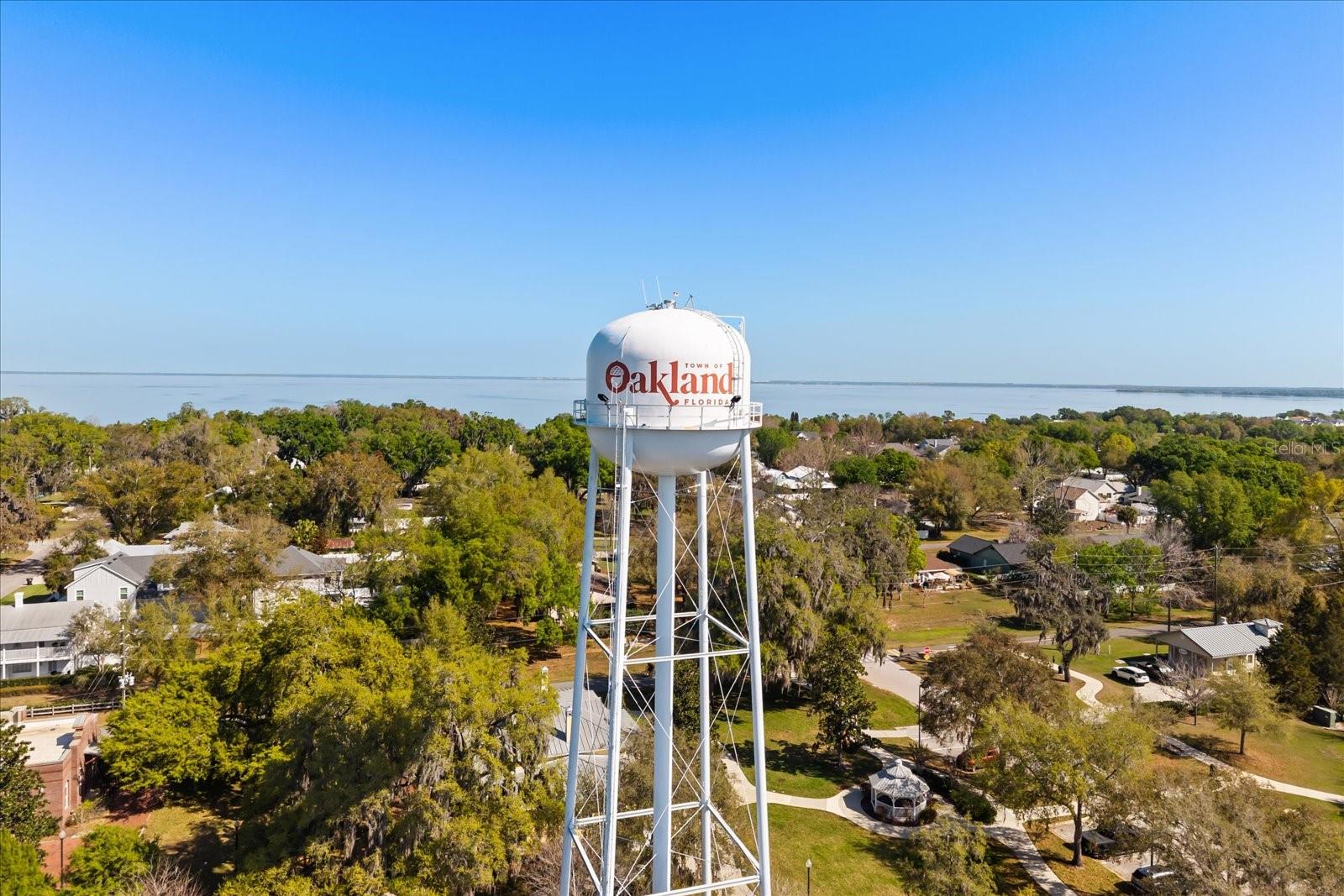 310 E GULLEY AVE, OAKLAND, FL, 34760