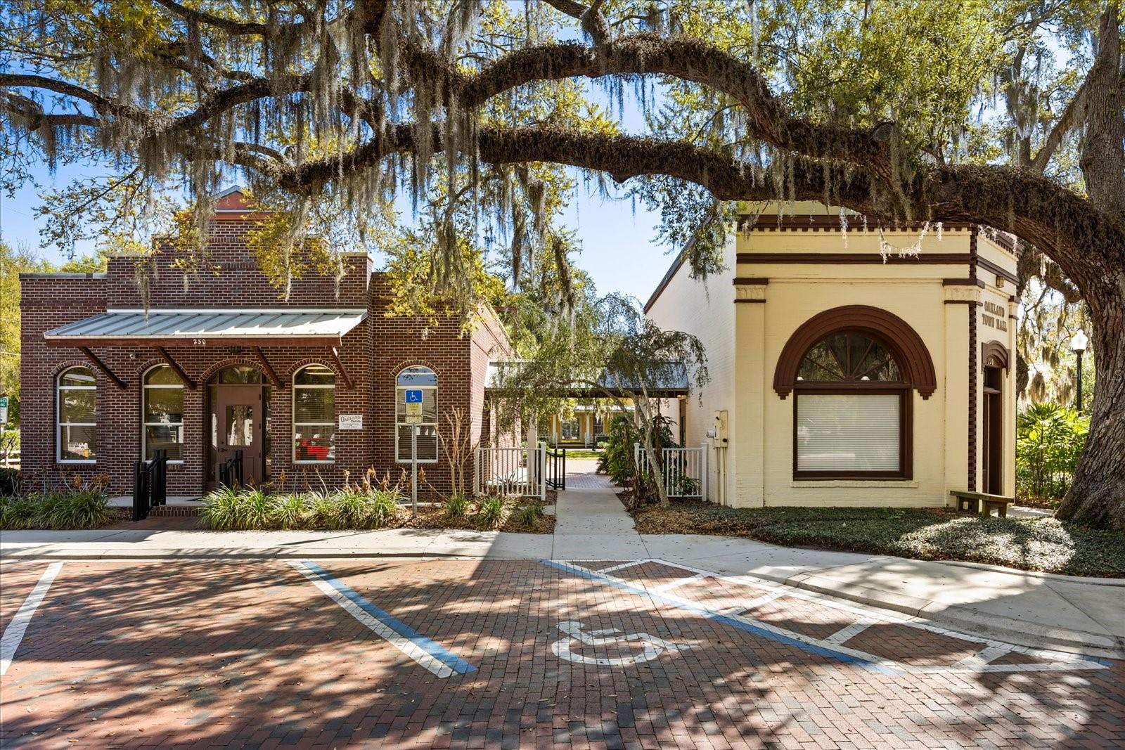 310 E GULLEY AVE, OAKLAND, FL, 34760