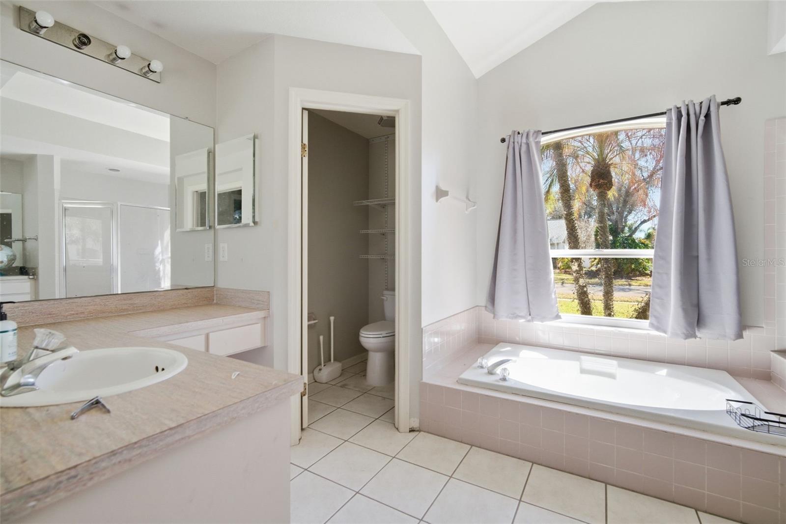 28427 OPENFIELD LOOP, WESLEY CHAPEL, FL, 33543