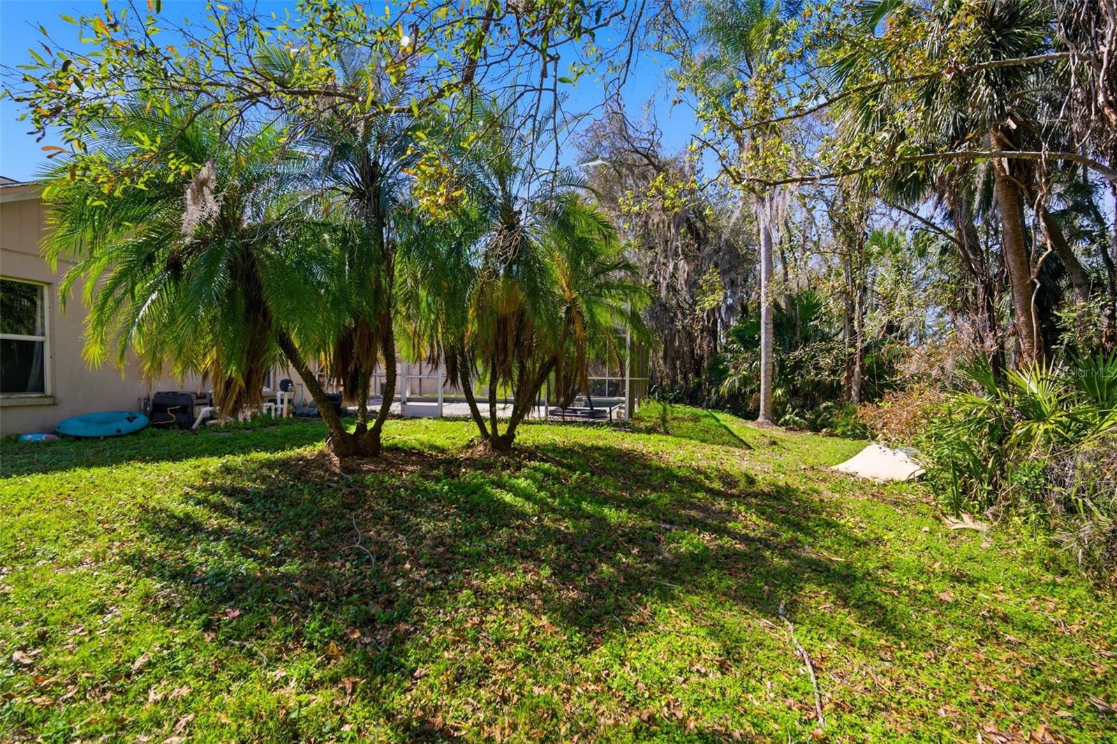 28427 OPENFIELD LOOP, WESLEY CHAPEL, FL, 33543