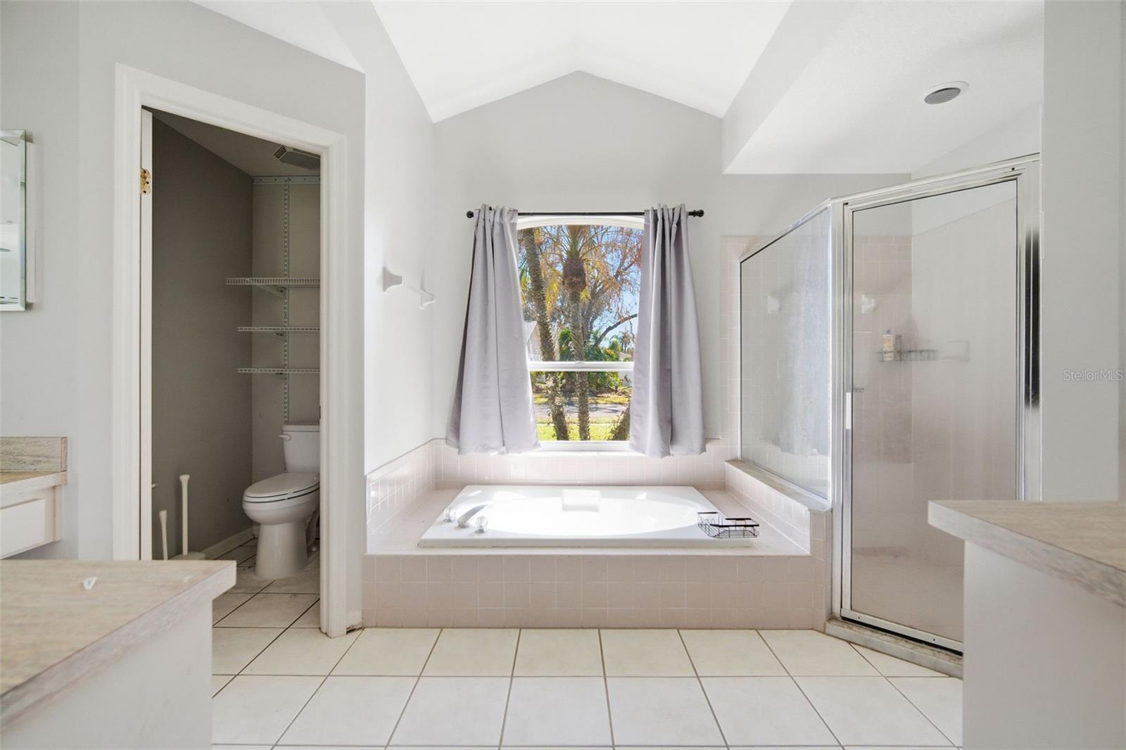 28427 OPENFIELD LOOP, WESLEY CHAPEL, FL, 33543